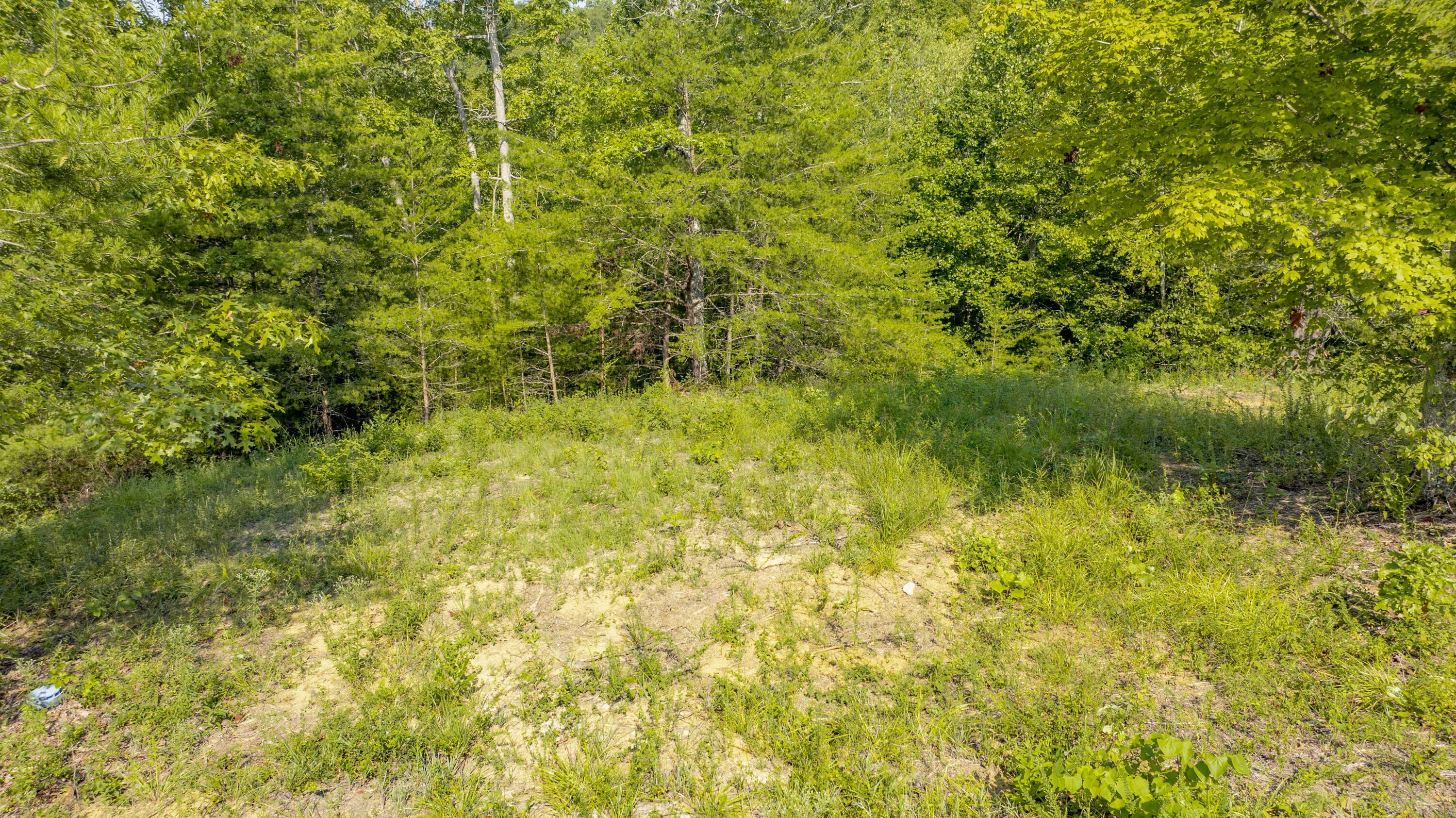 61 Brittany Drive Property Photo 23