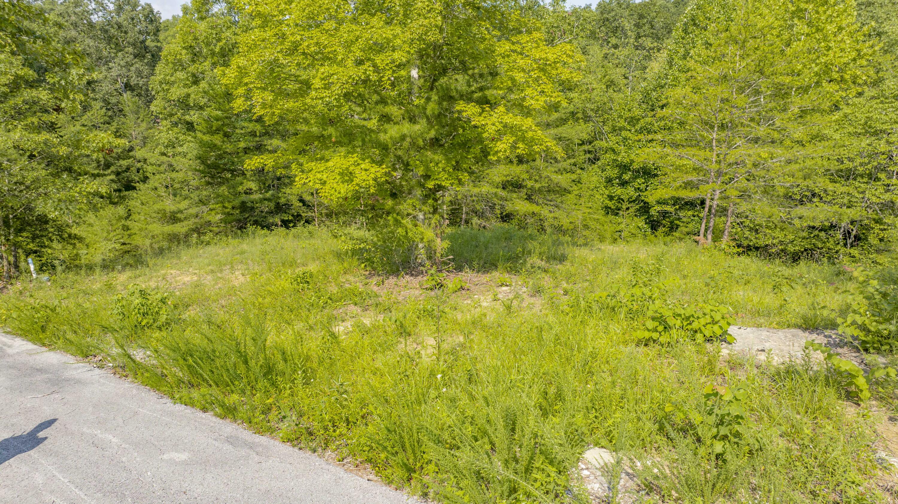 62 Brittany Drive Property Photo 25