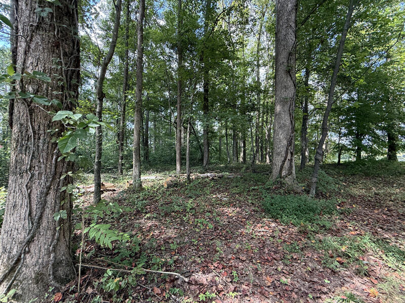 Lot 172 Stillwater Property Photo 3