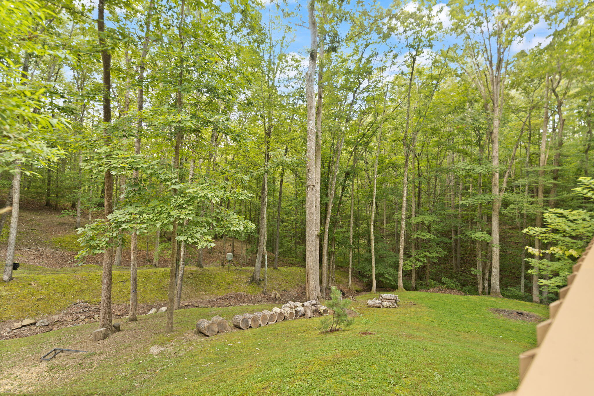 66 Raymond Road Property Photo 15