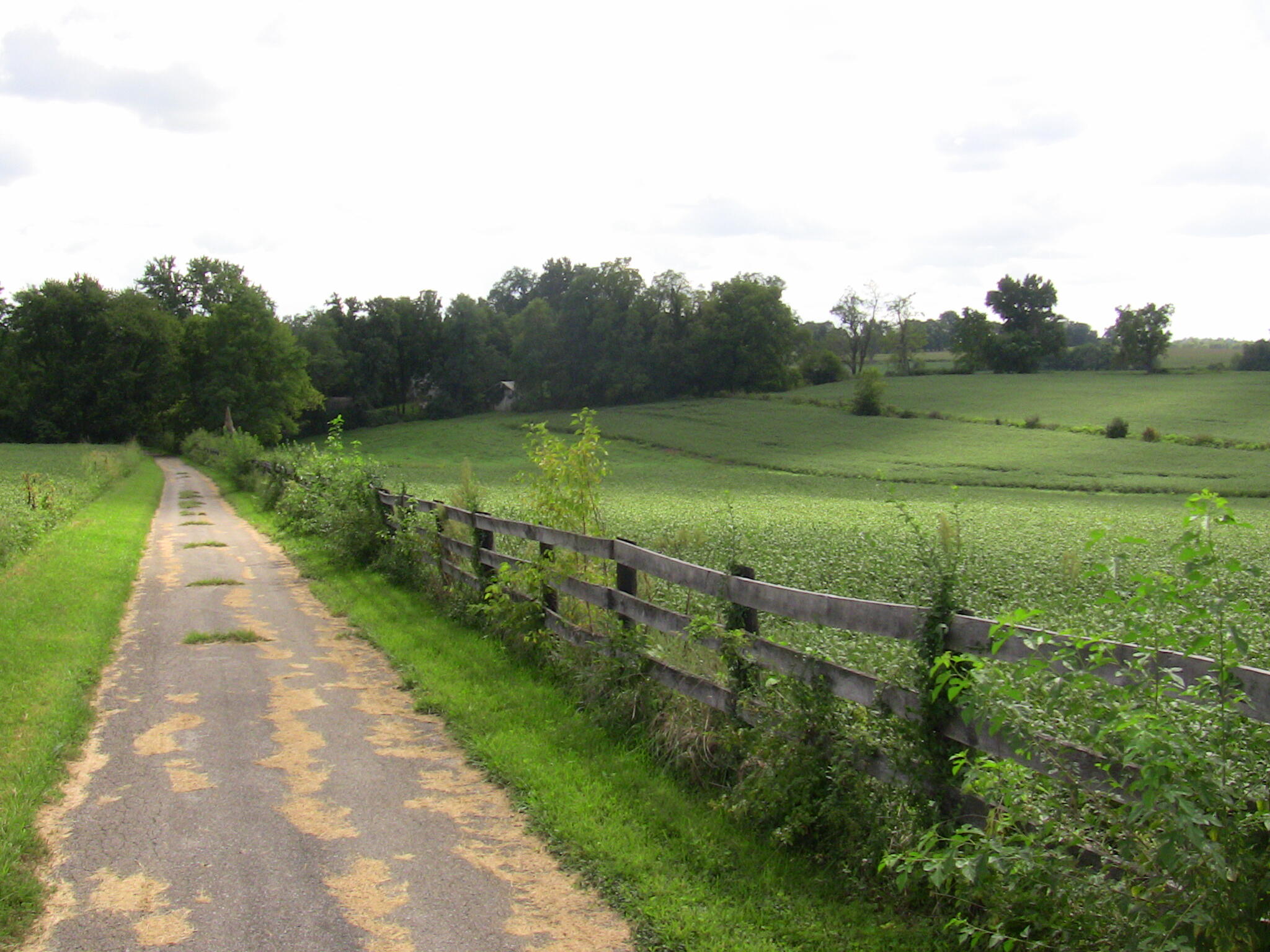 2750 Paynes Mill Road Property Photo 15
