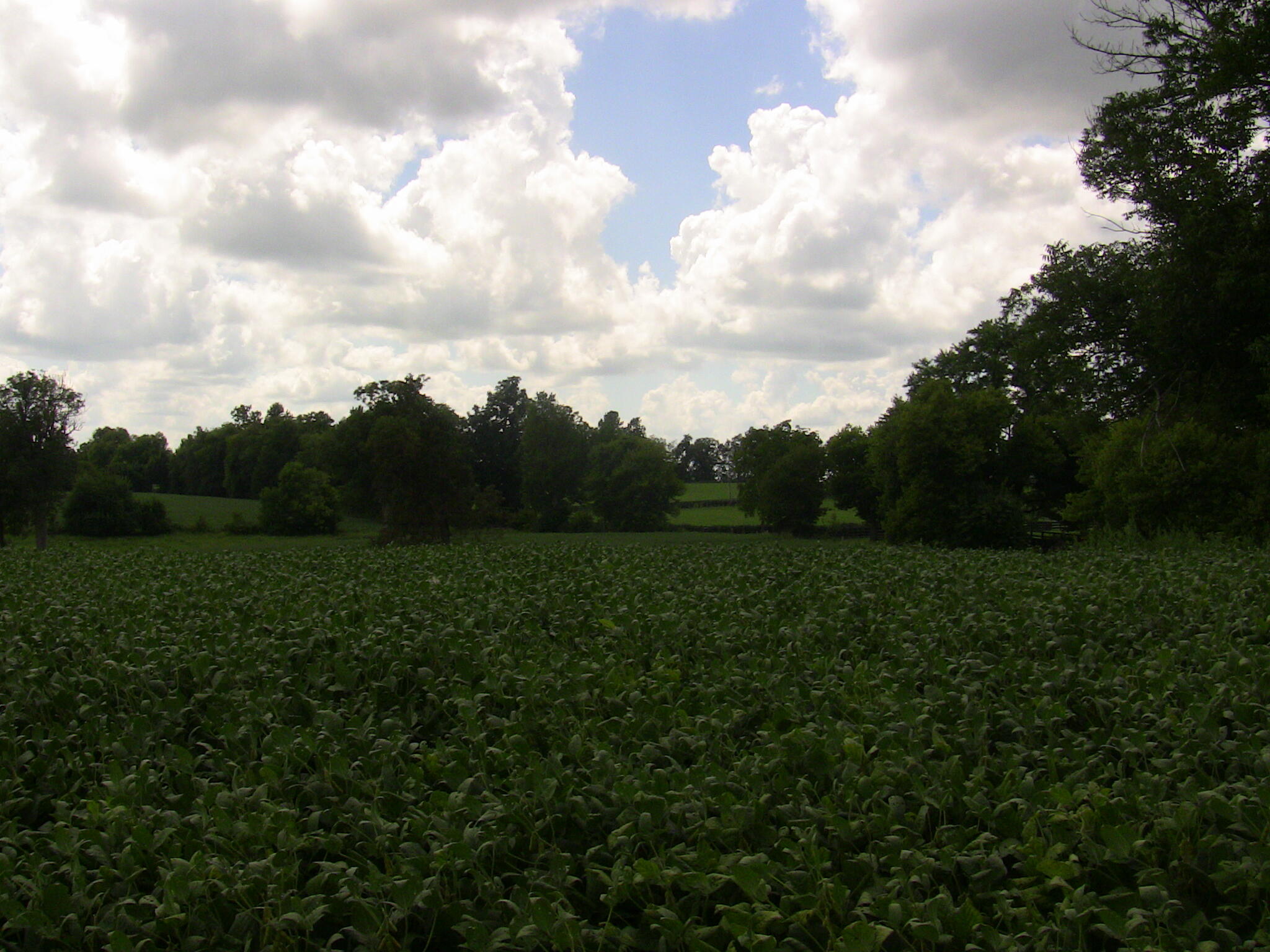 2750 Paynes Mill Road Property Photo 18