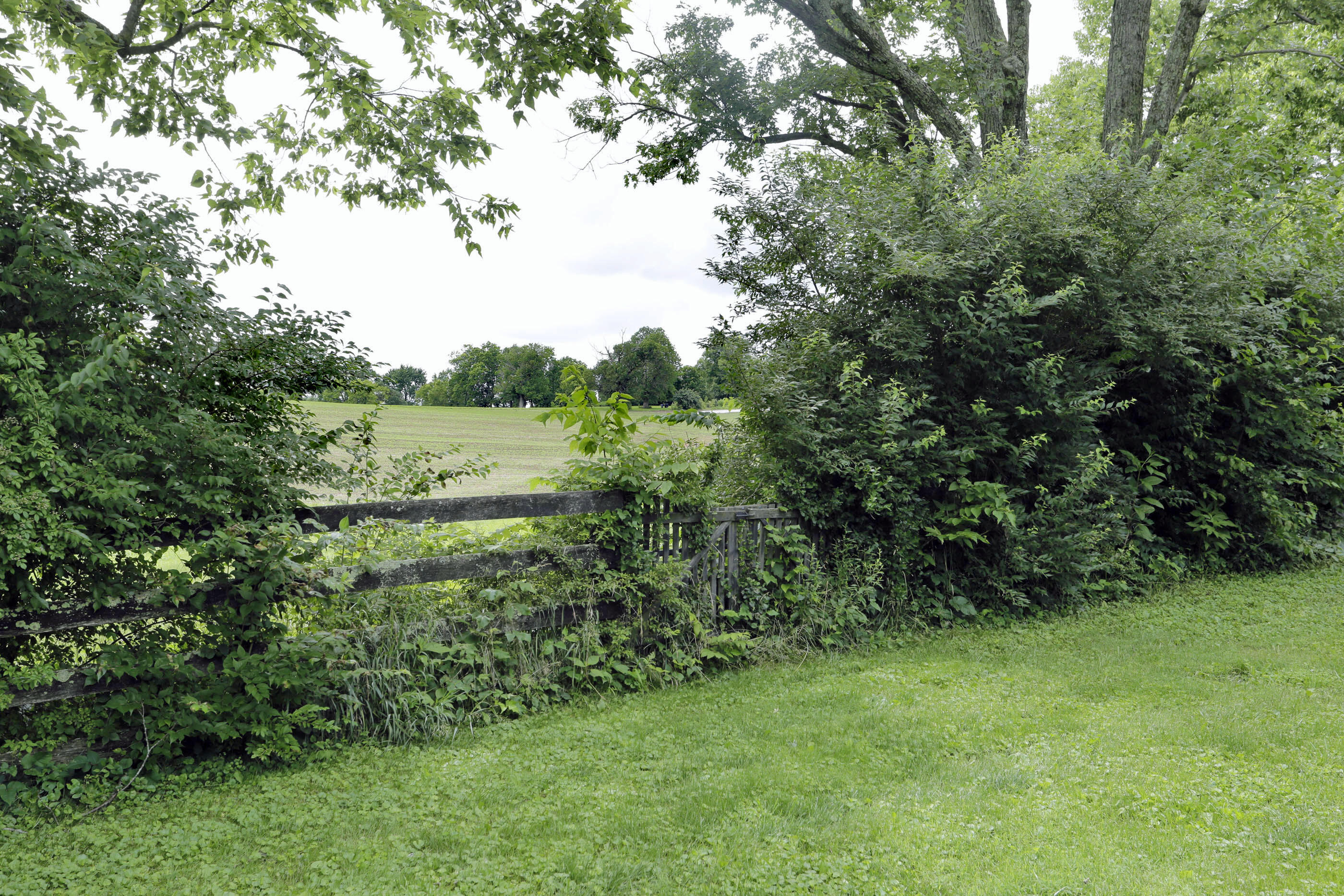 2750 Paynes Mill Road Property Photo 19