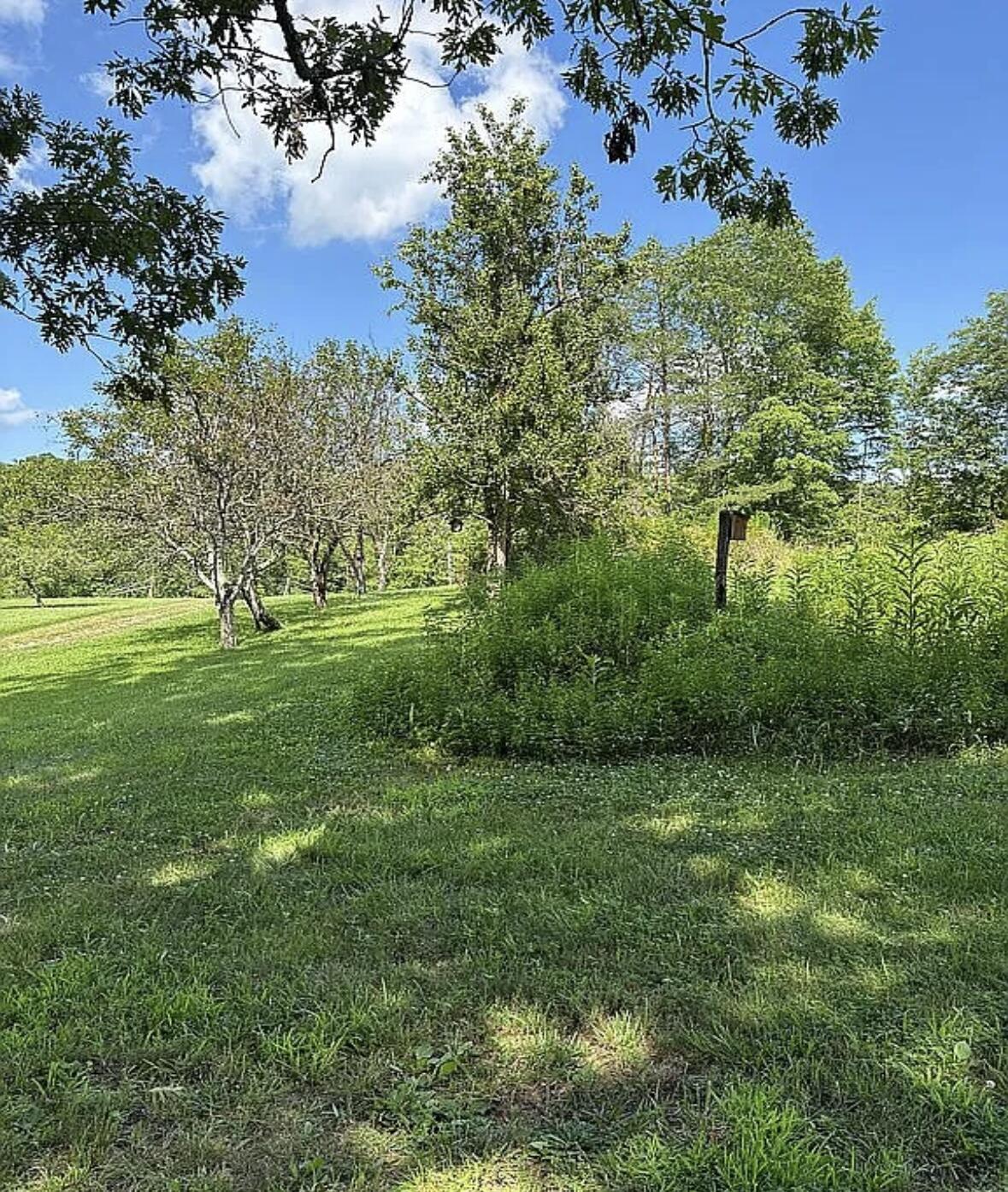1195 Hoop Road Property Photo 45