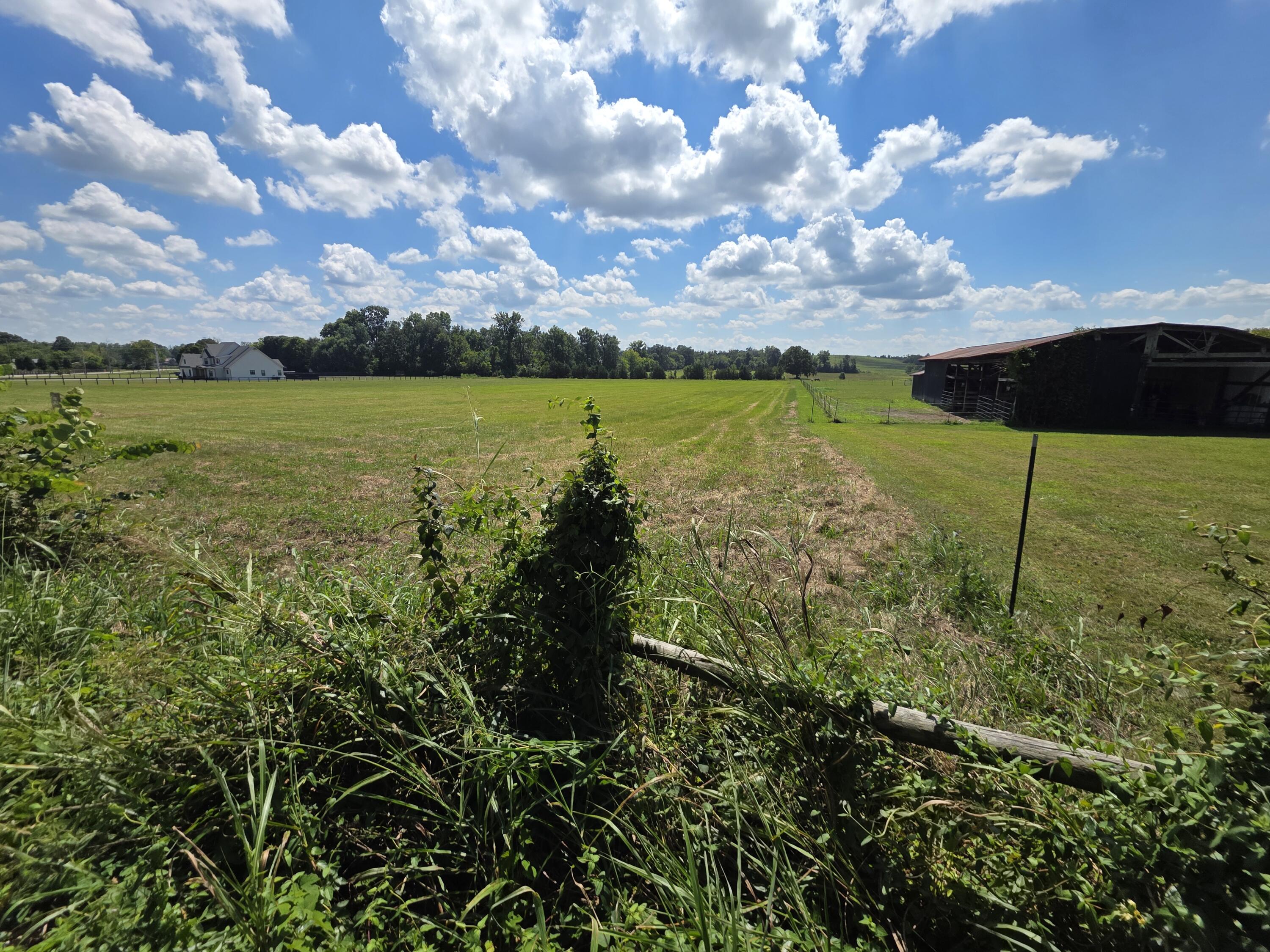 9999 Peggy Flats Road Property Photo 15