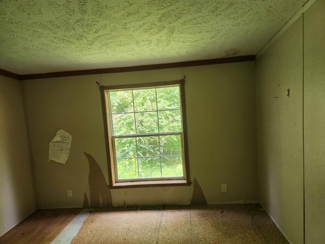 1144 Grassy Branch Road Property Photo 13