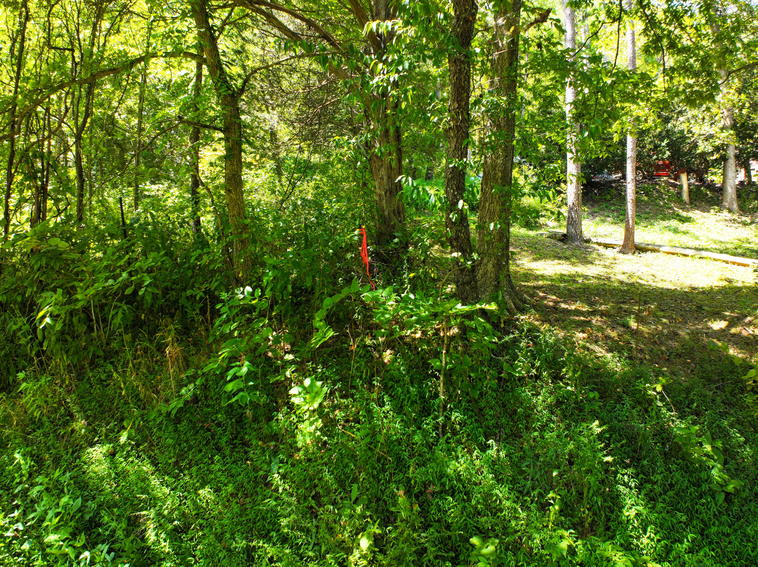 00000 Jakes Heavenly Highway Property Photo 14