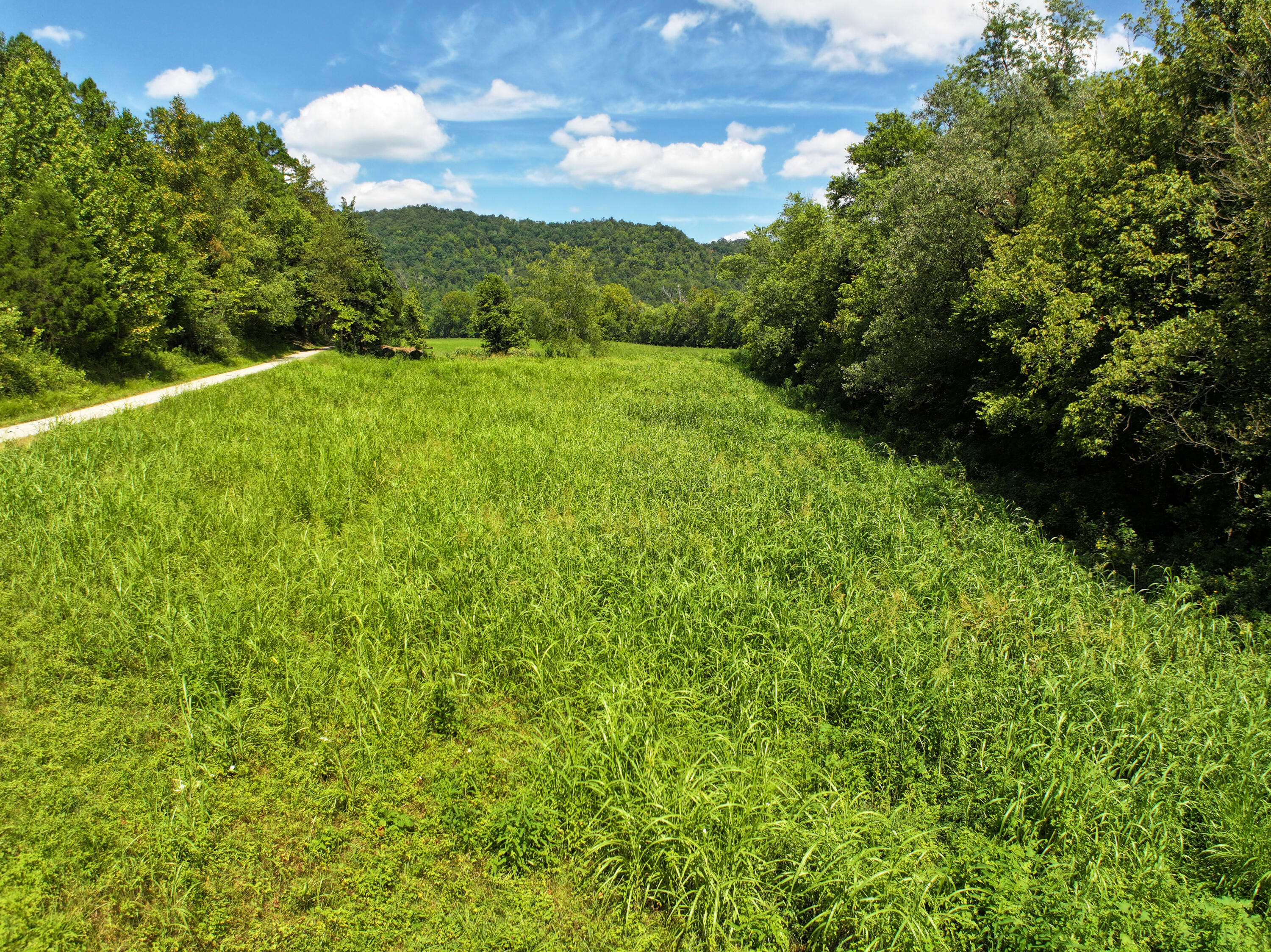00000 Jakes Heavenly Highway Property Photo 16