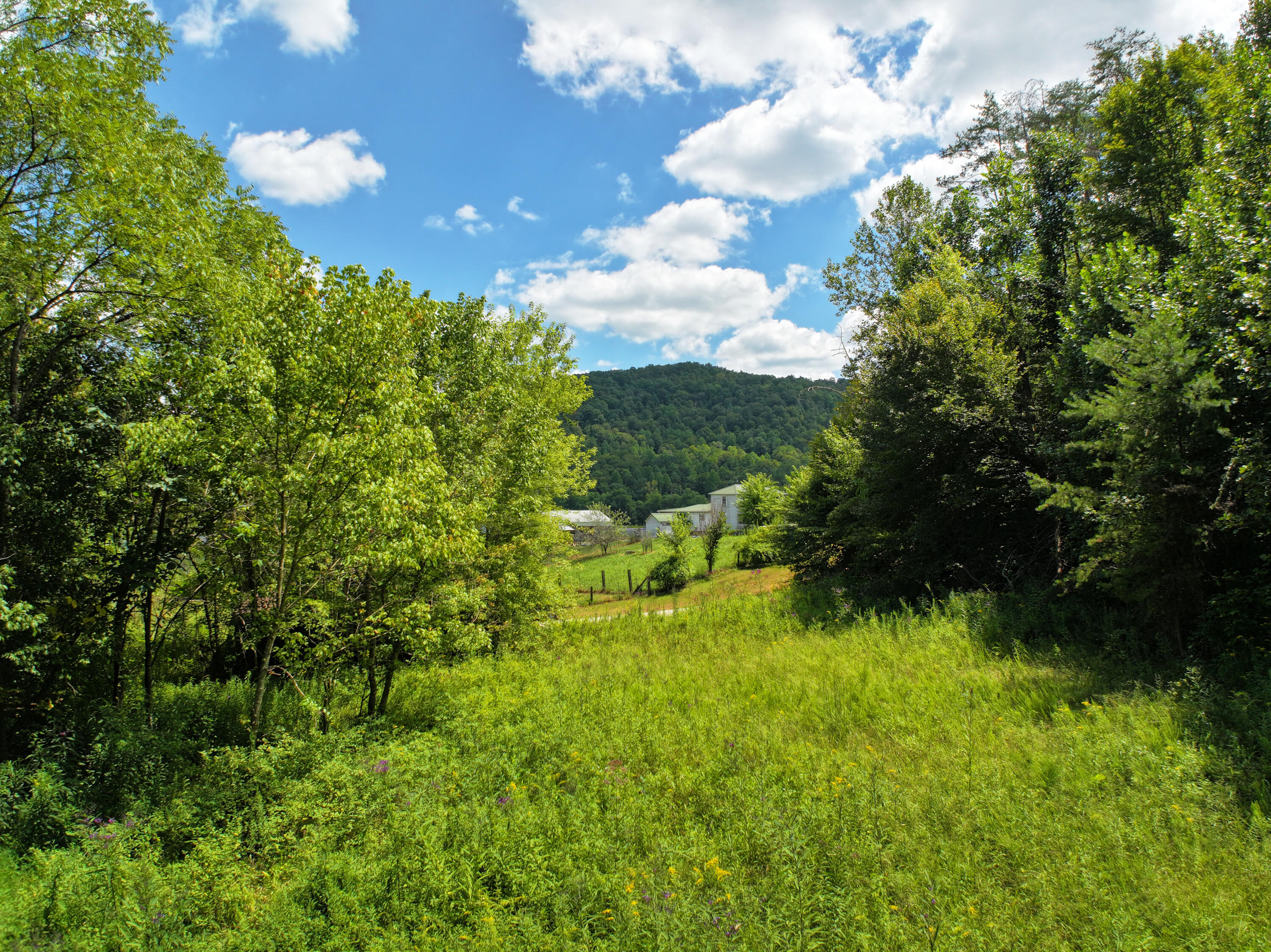 00000 Jakes Heavenly Highway Property Photo 20