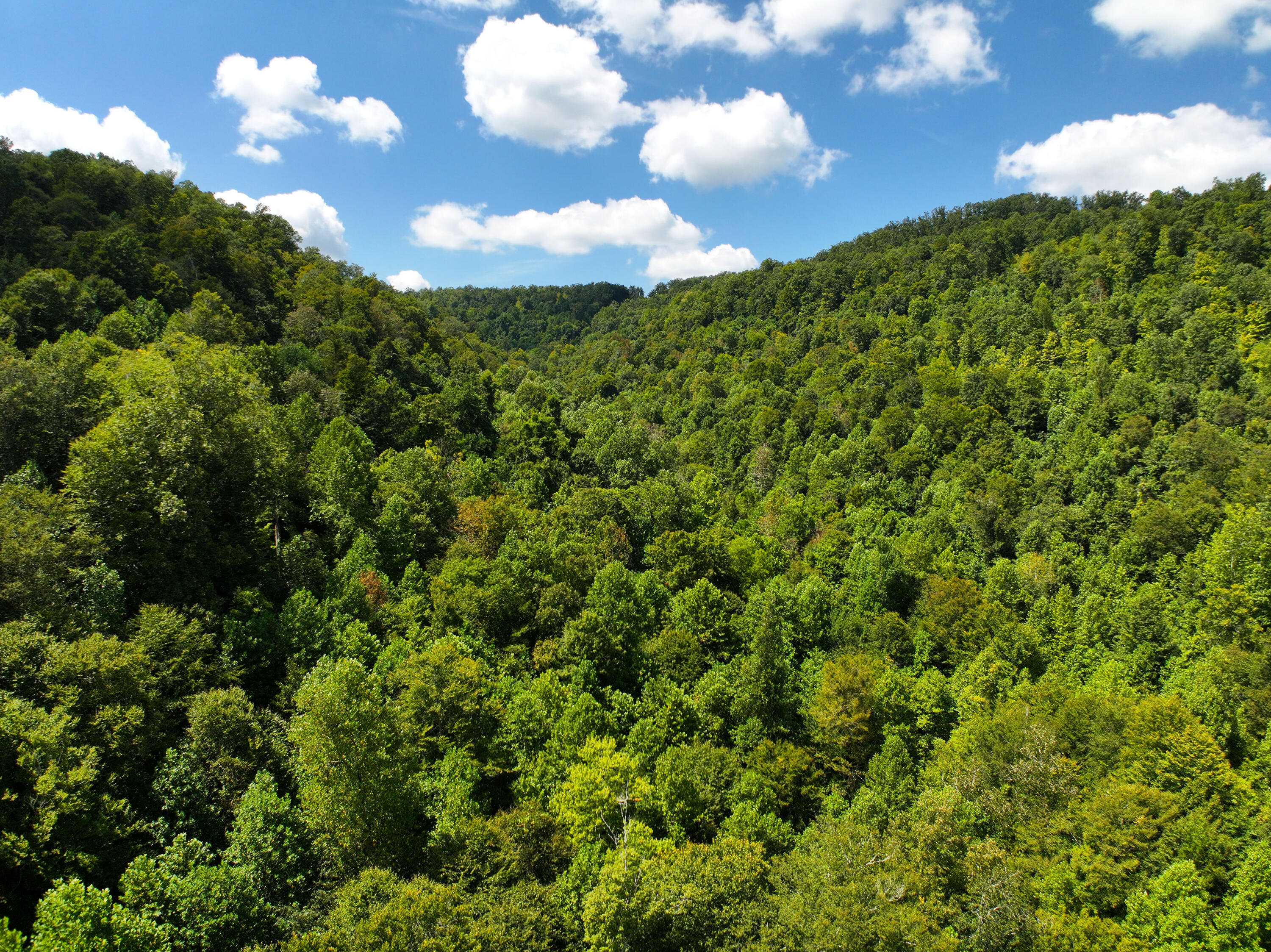 00000 Jakes Heavenly Highway Property Photo 21