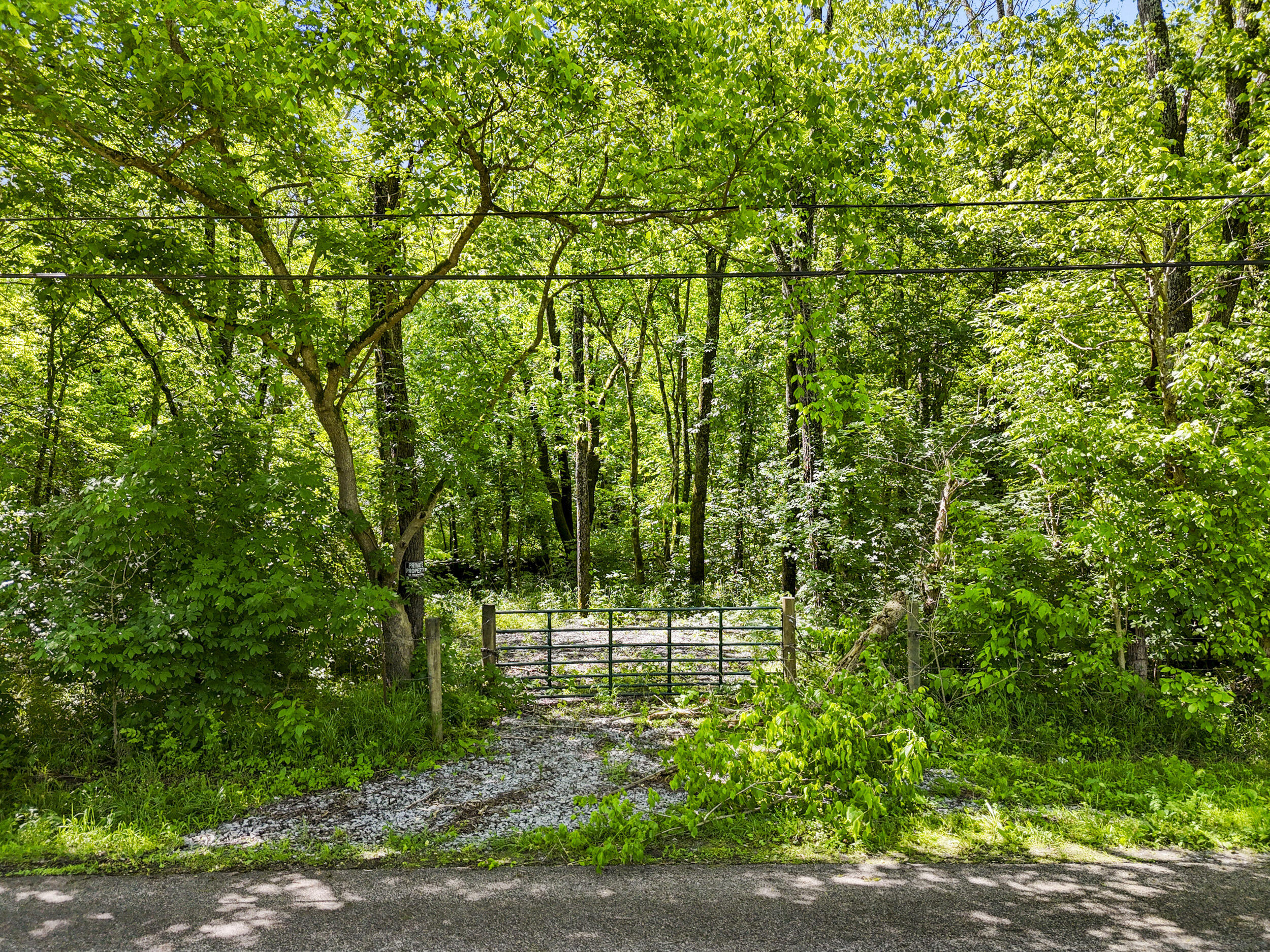 8671 Highway 36 Property Photo 1