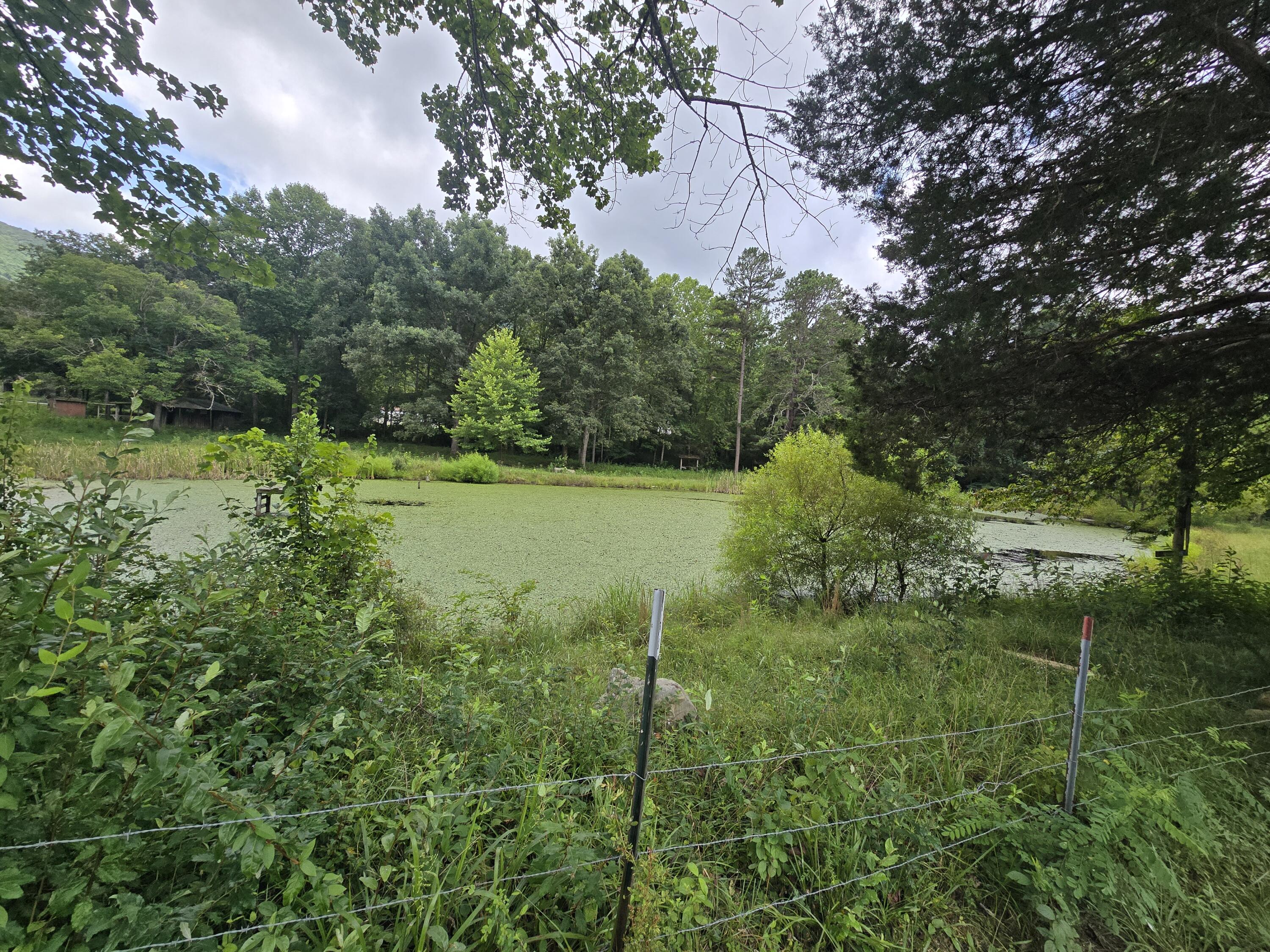 00 Highway 217 & 1344 Property Photo 6
