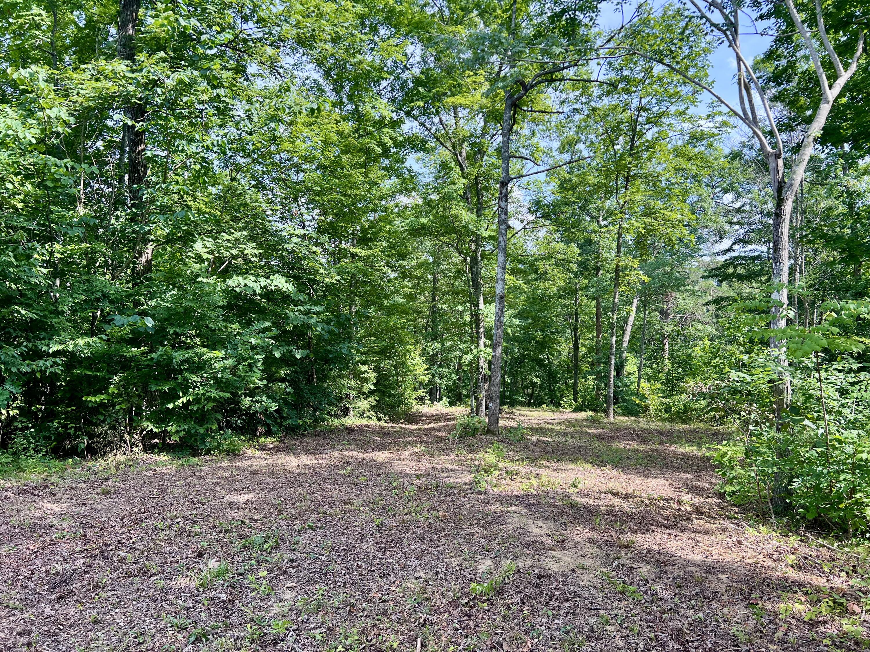 Lot 24 Restful Run Property Photo 4