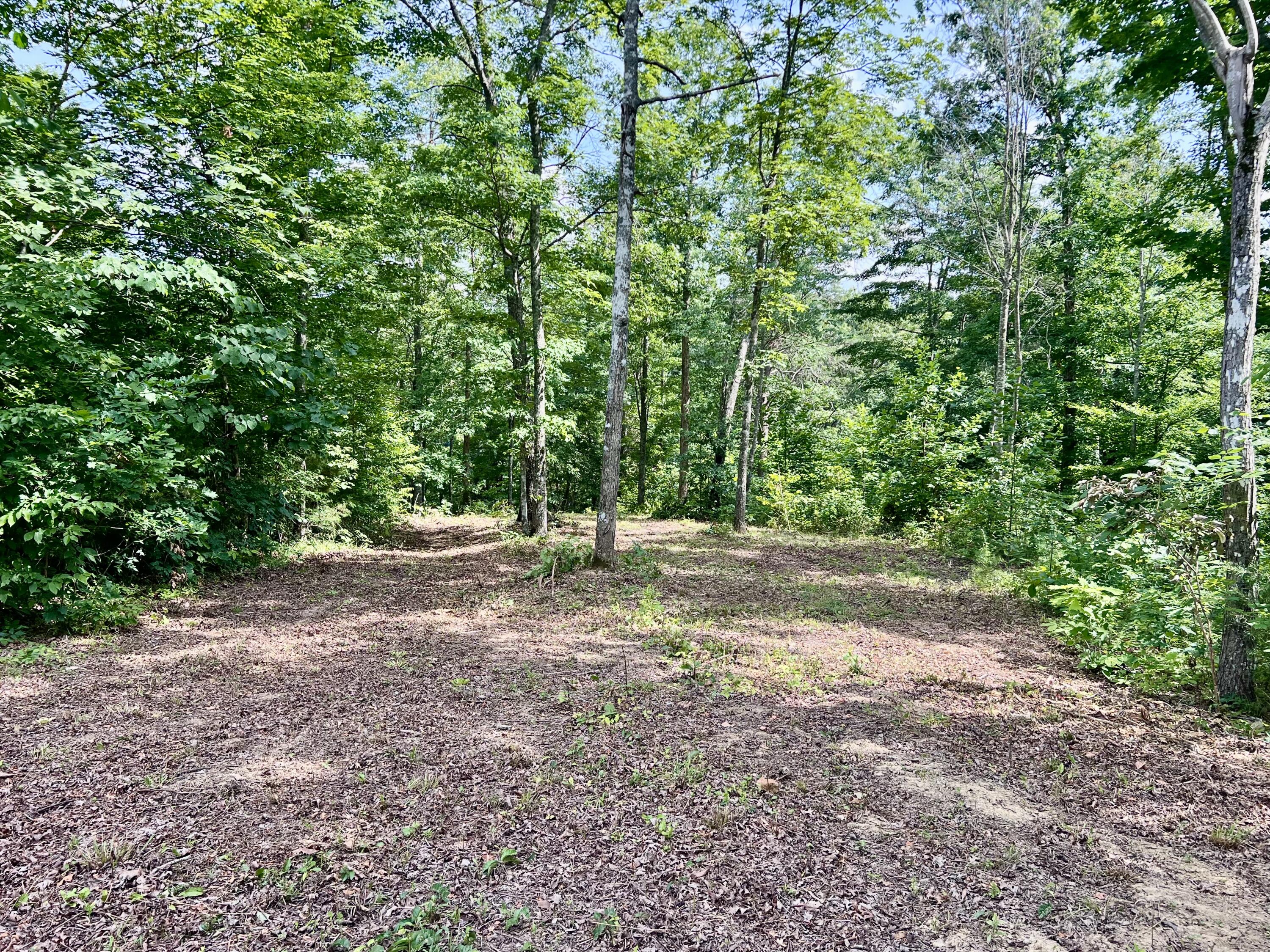 Lot 24 Restful Run Property Photo 5