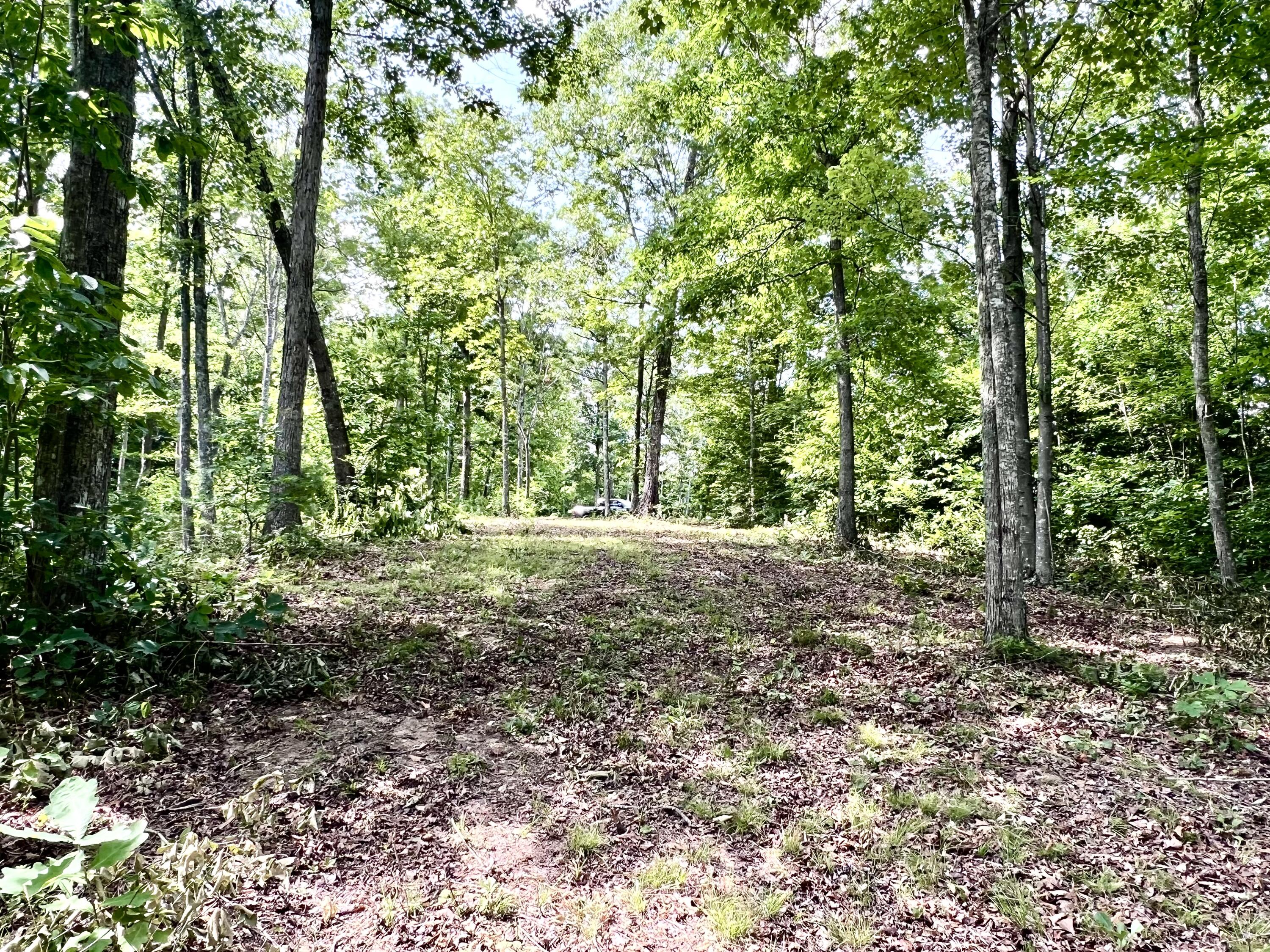 Lot 24 Restful Run Property Photo 6