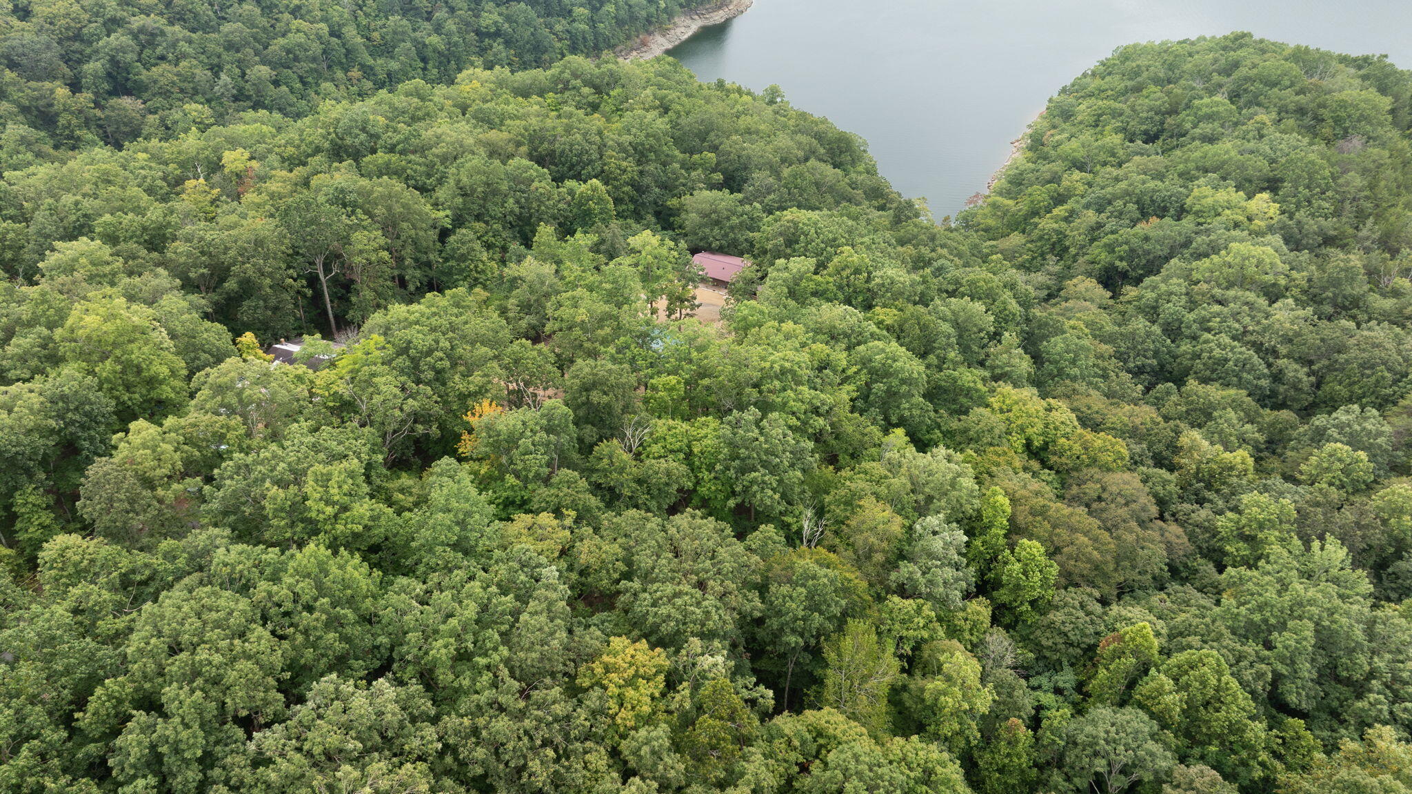 353 Timber Ridge Road Property Photo 53