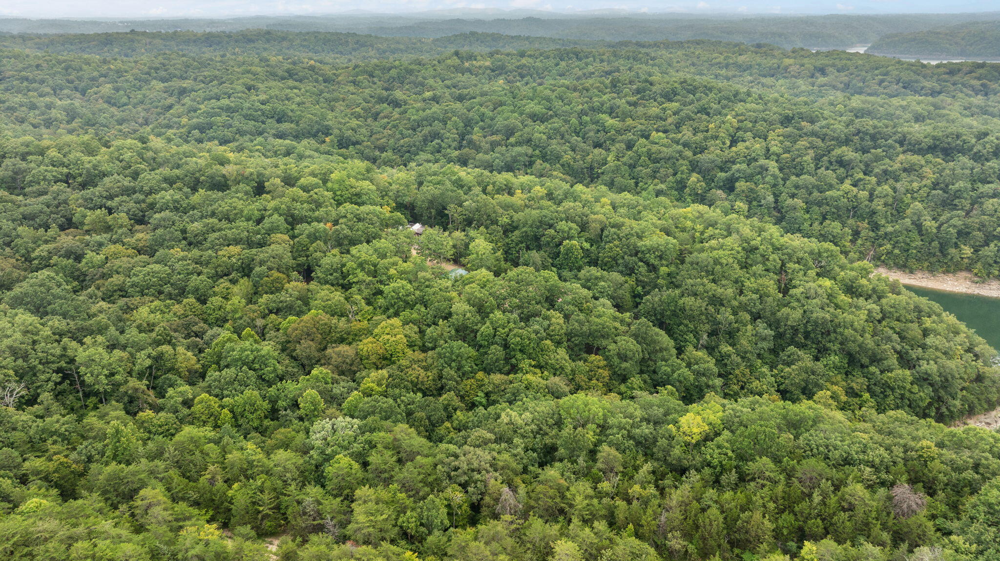 353 Timber Ridge Road Property Photo 84