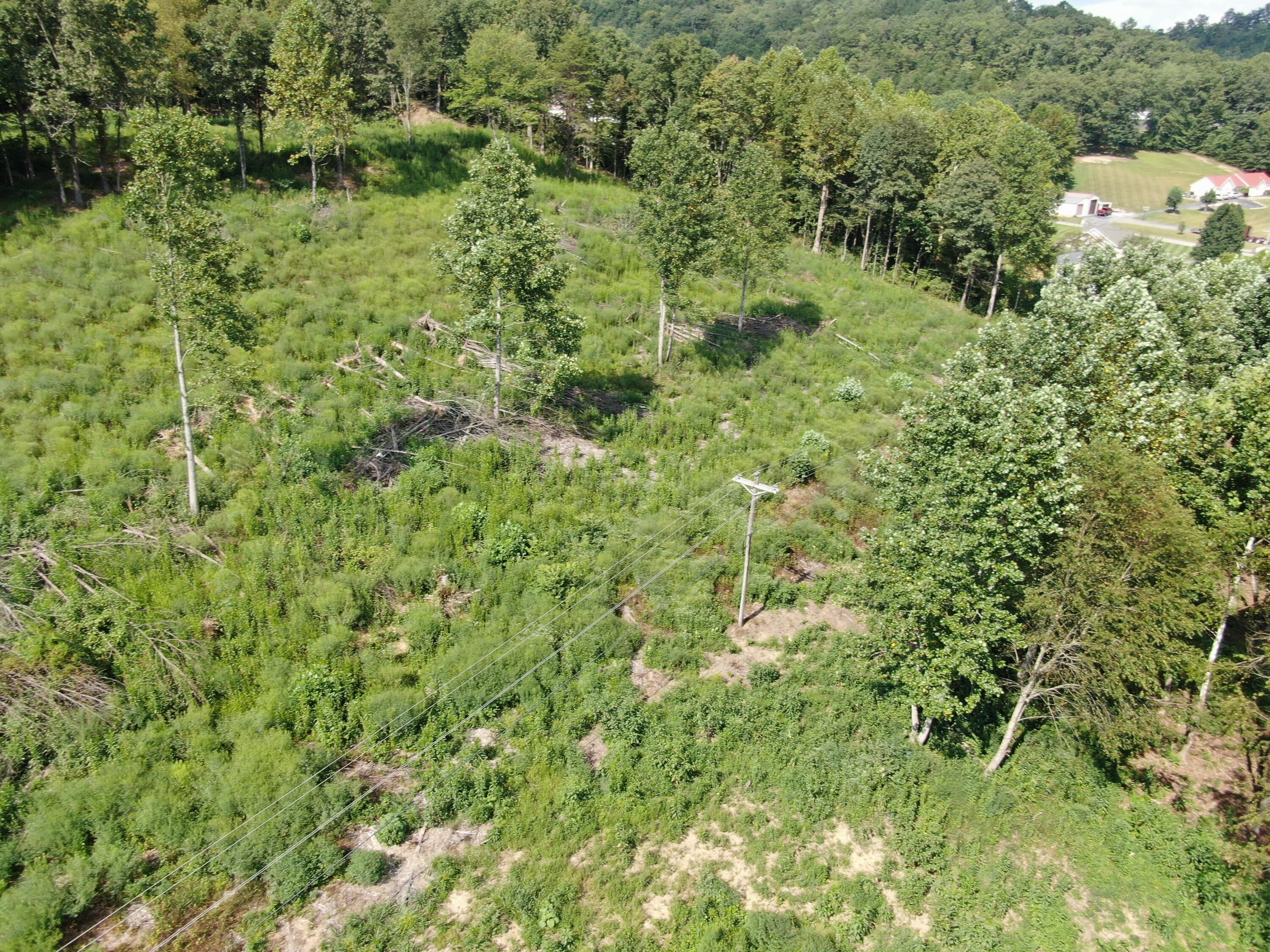 0 Highway 638 Property Photo 4