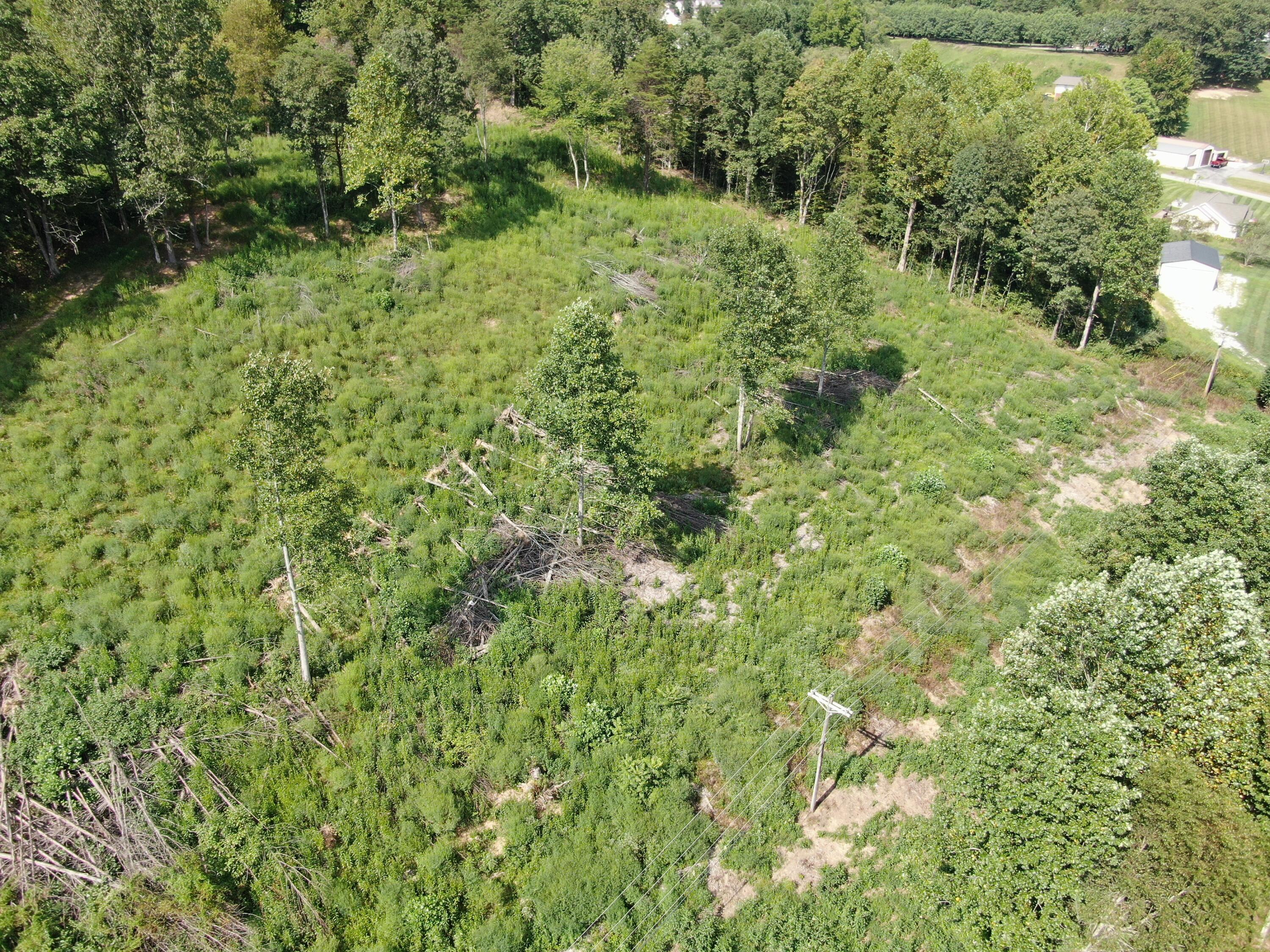 0 Highway 638 Property Photo 9