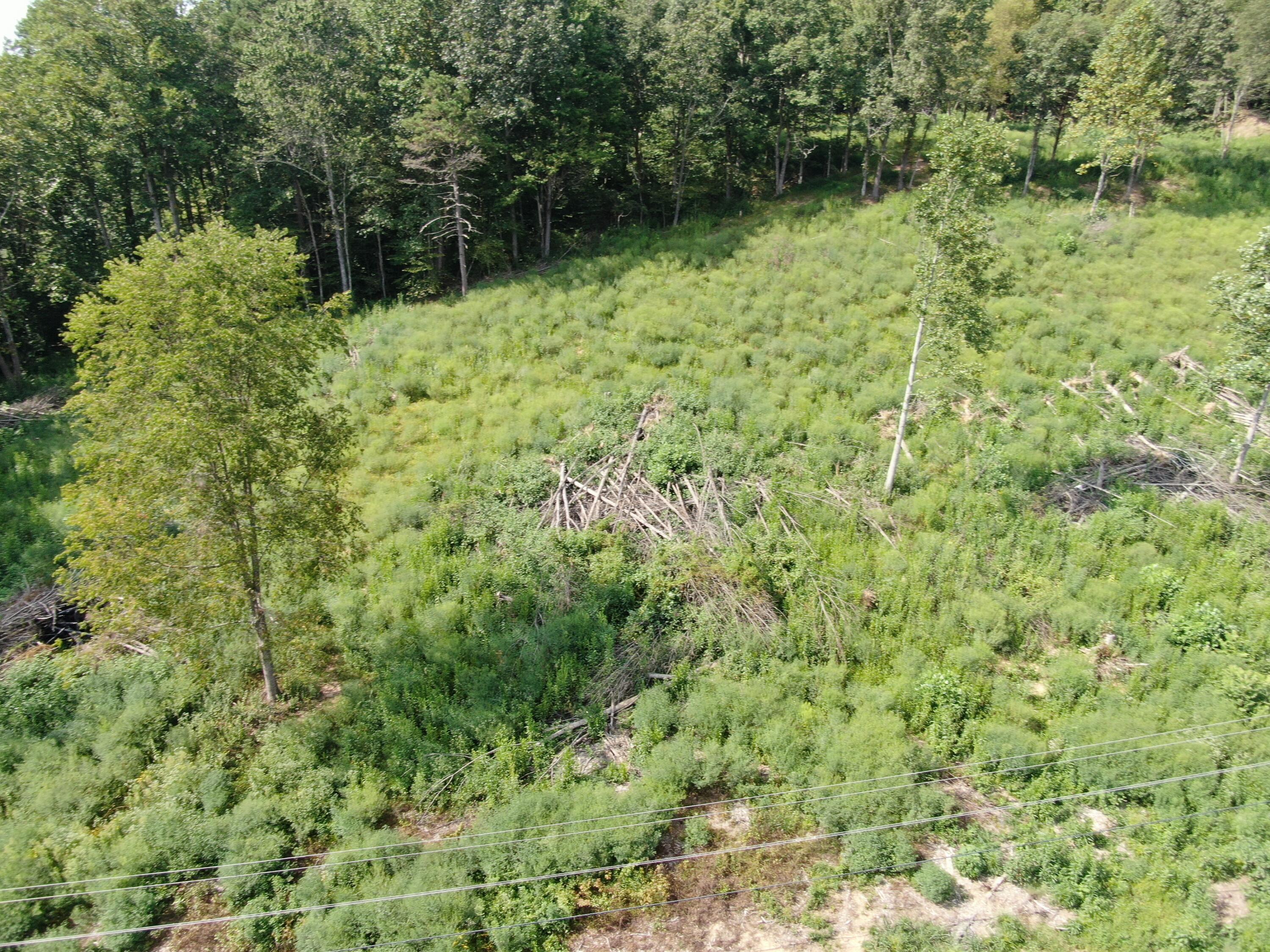 0 Highway 638 Property Photo 12