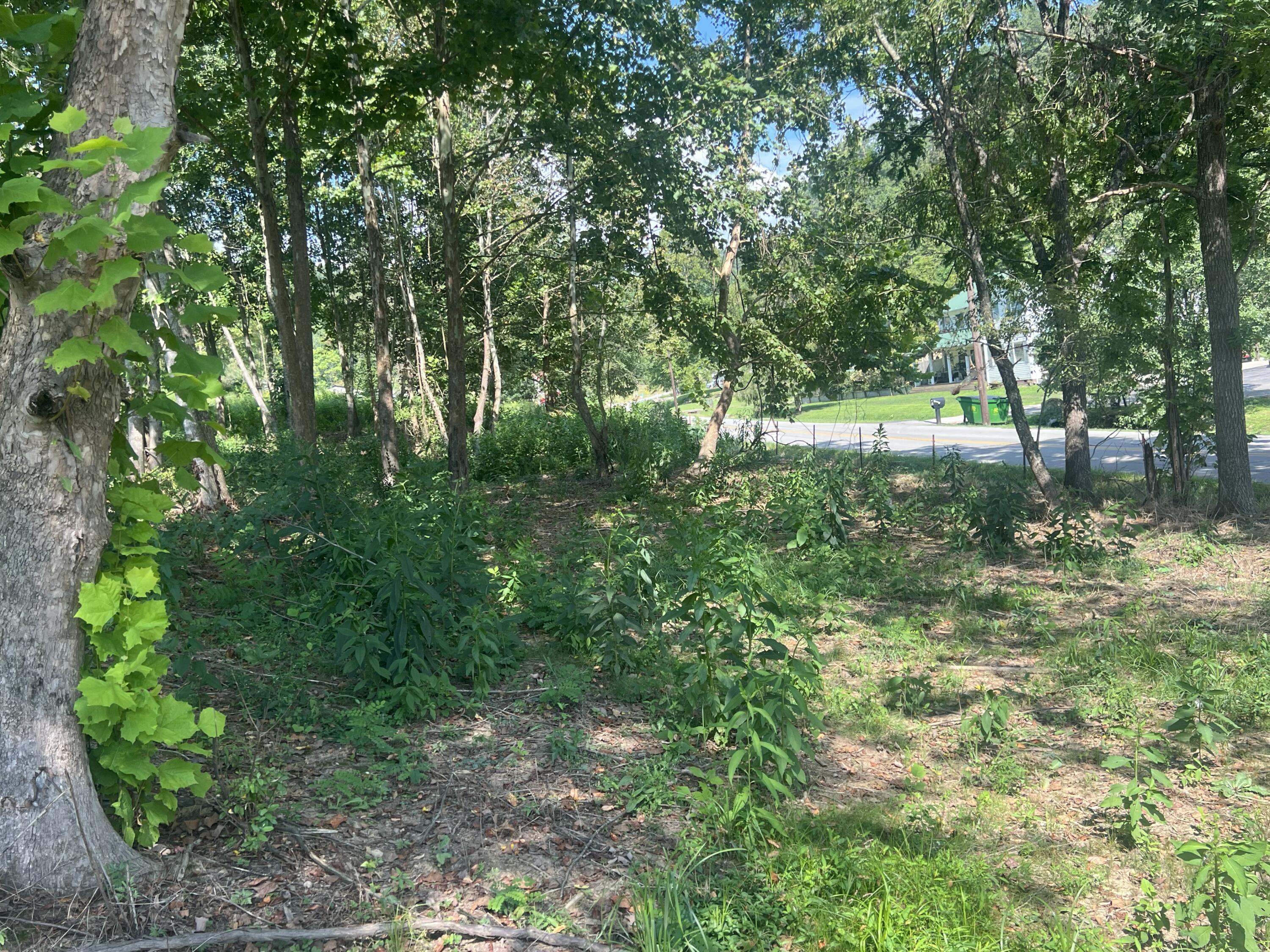 0 Highway 638 Property Photo 14