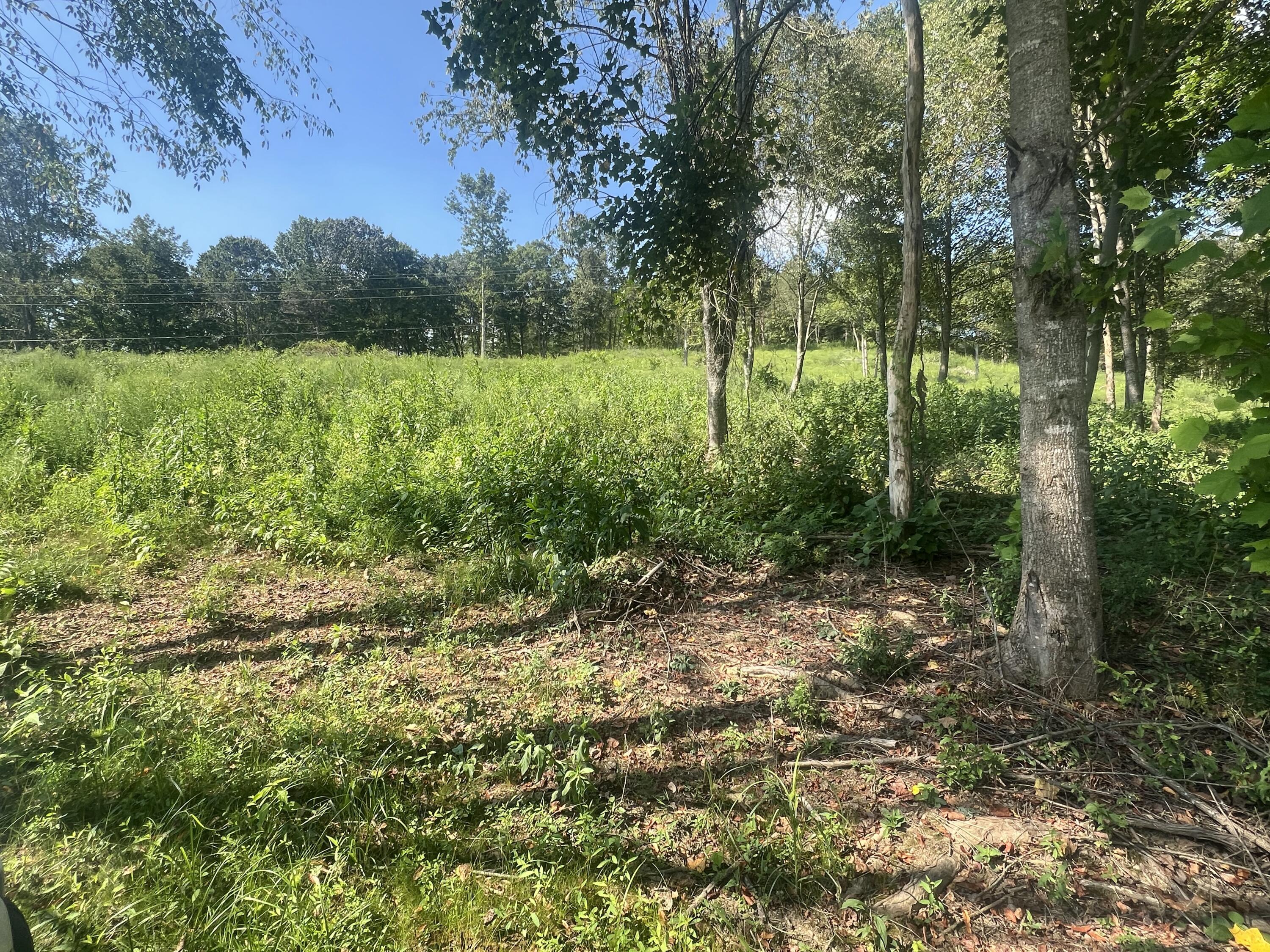 0 Highway 638 Property Photo 15