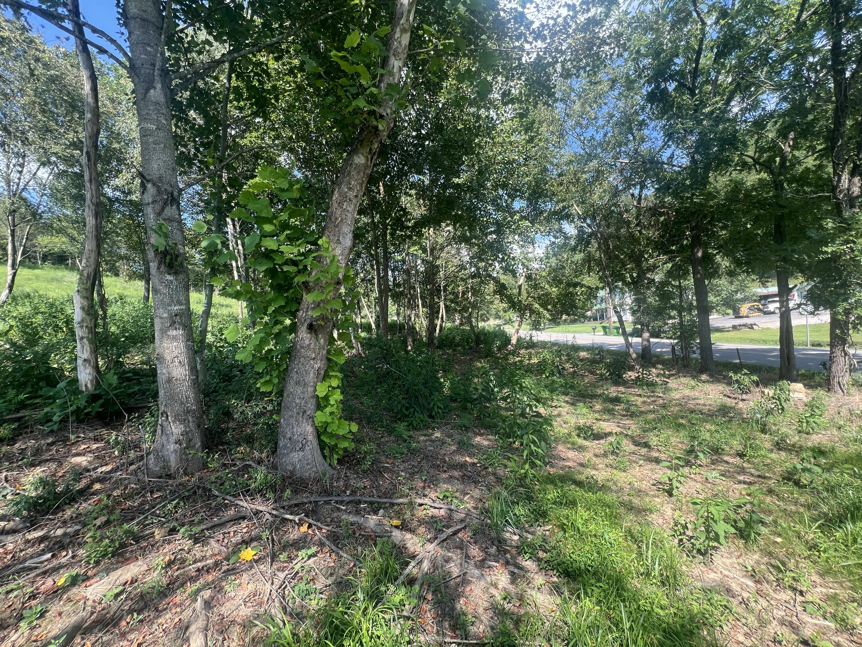 0 Highway 638 Property Photo 16