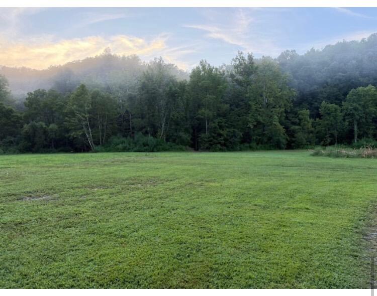 Tbd Meyers Fork Road Property Photo 1