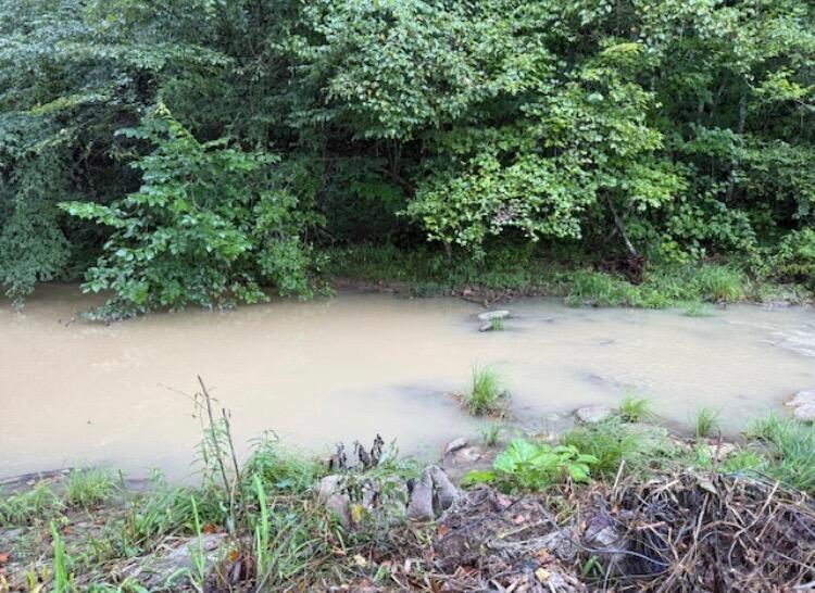 Tbd Meyers Fork Road Property Photo 4