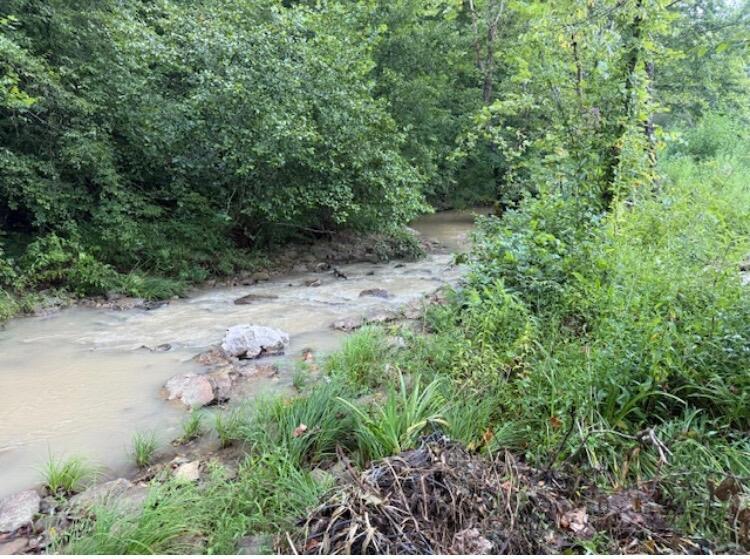 Tbd Meyers Fork Road Property Photo 6