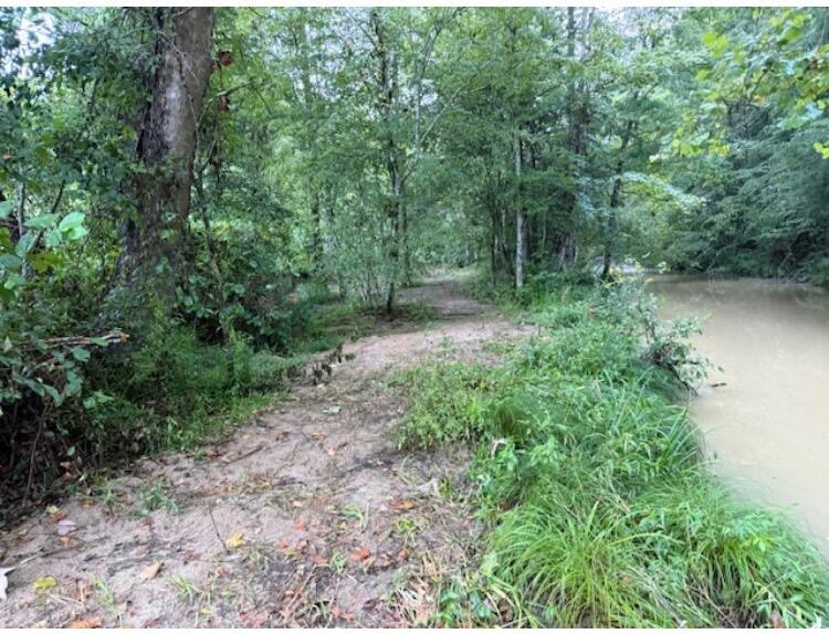 Tbd Meyers Fork Road Property Photo 7