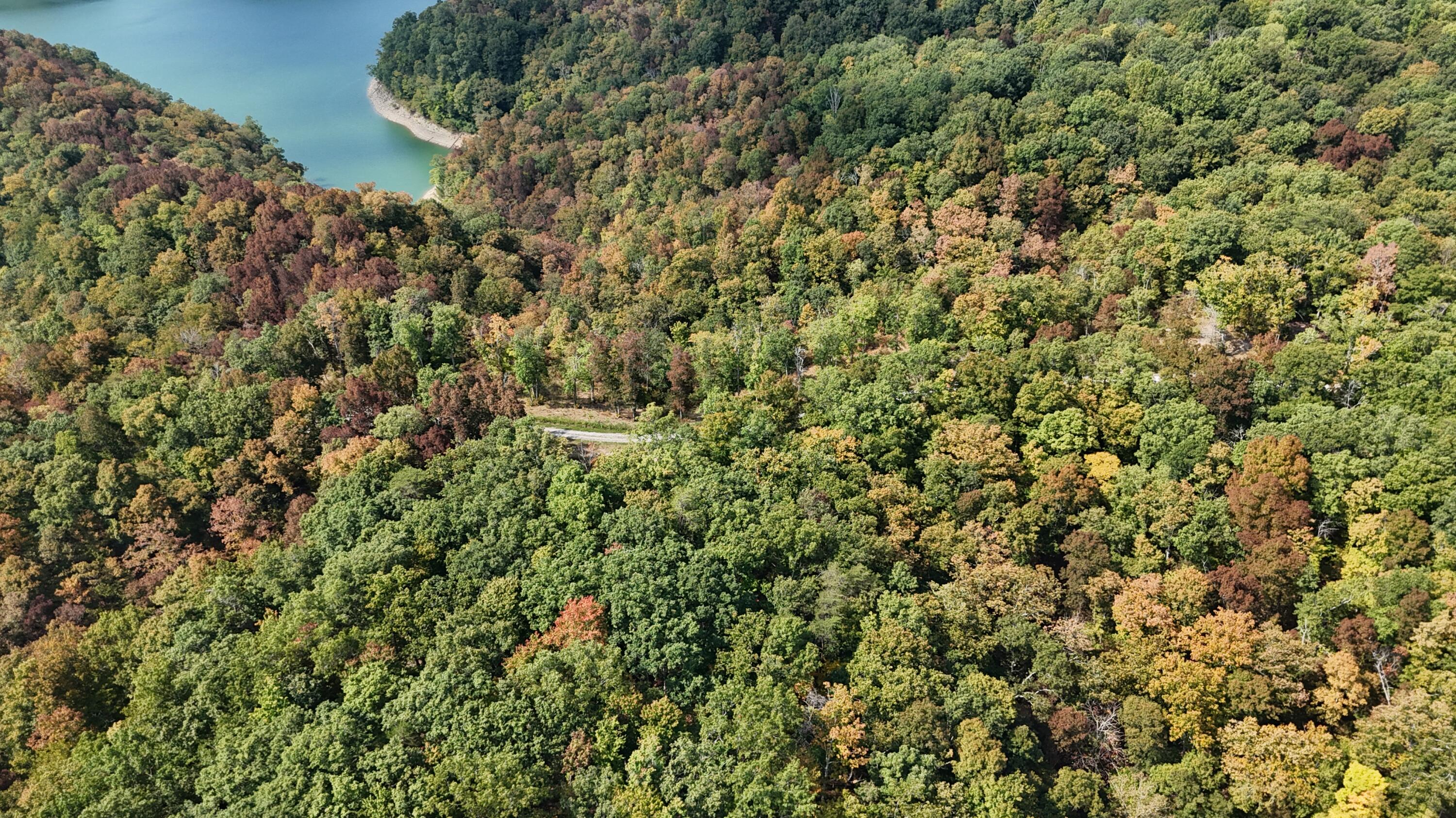Lot 95 Sandstone Point Property Photo 5