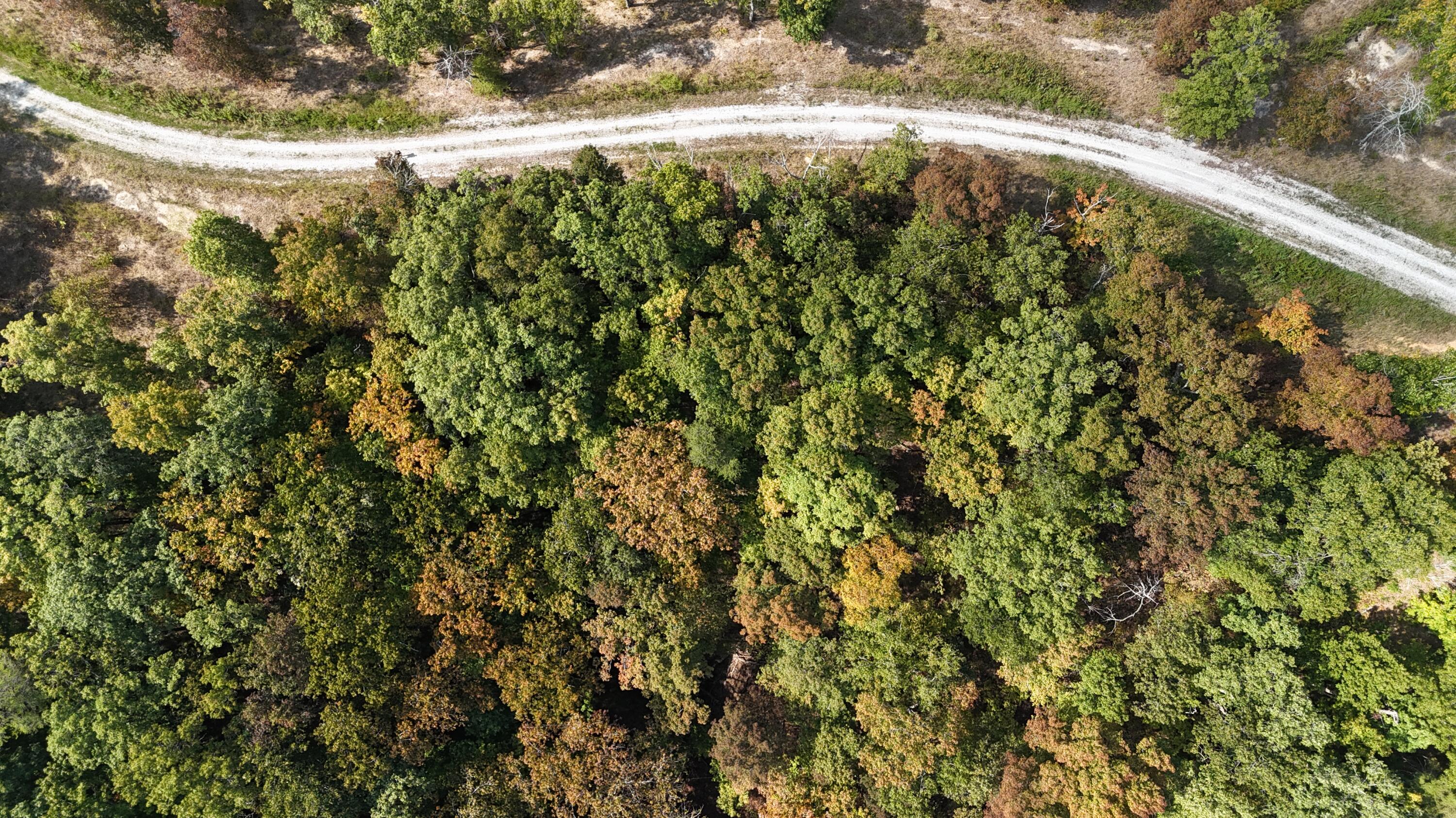Lot 95 Sandstone Point Property Photo 6
