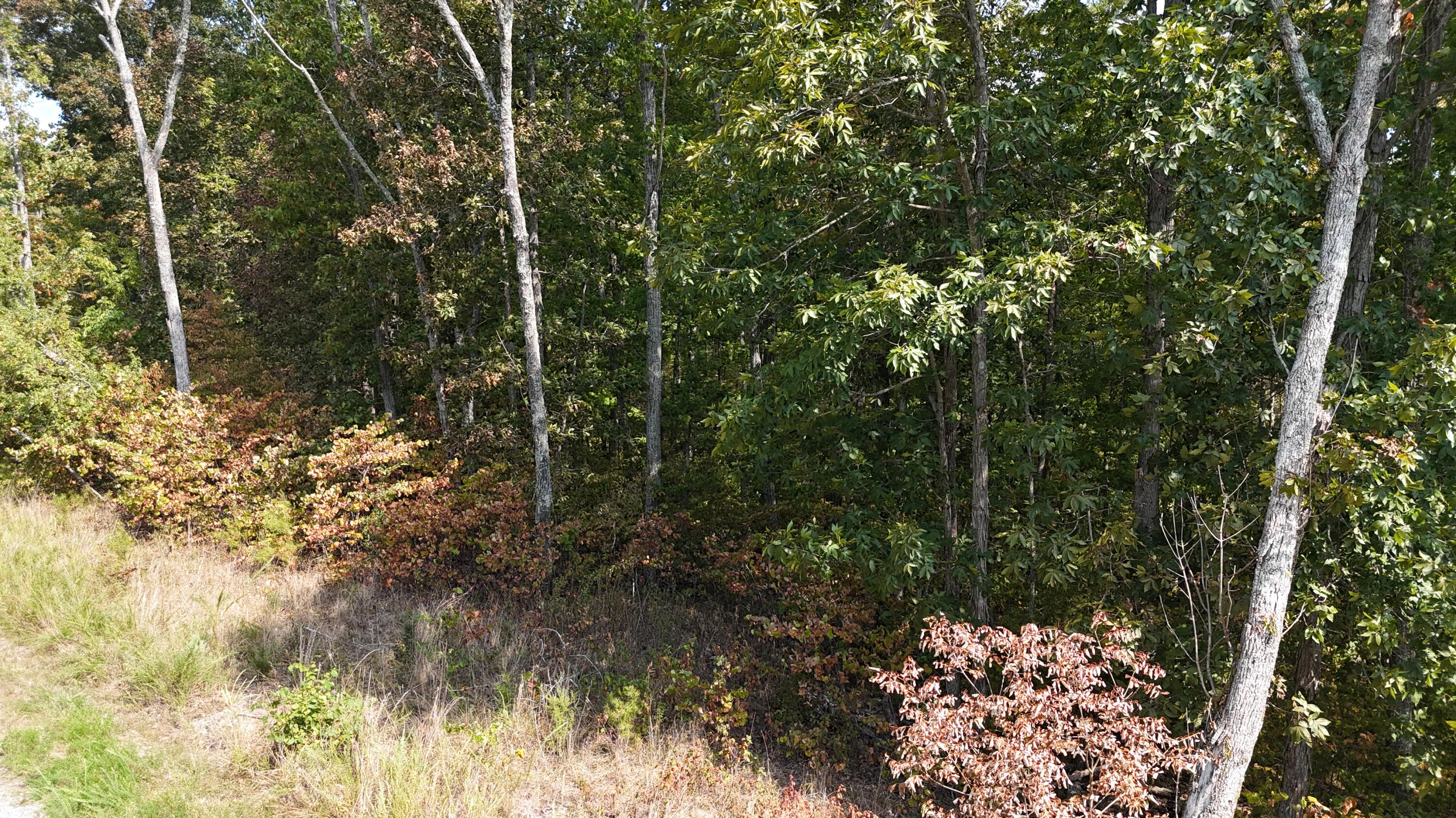 Lot 95 Sandstone Point Property Photo 8