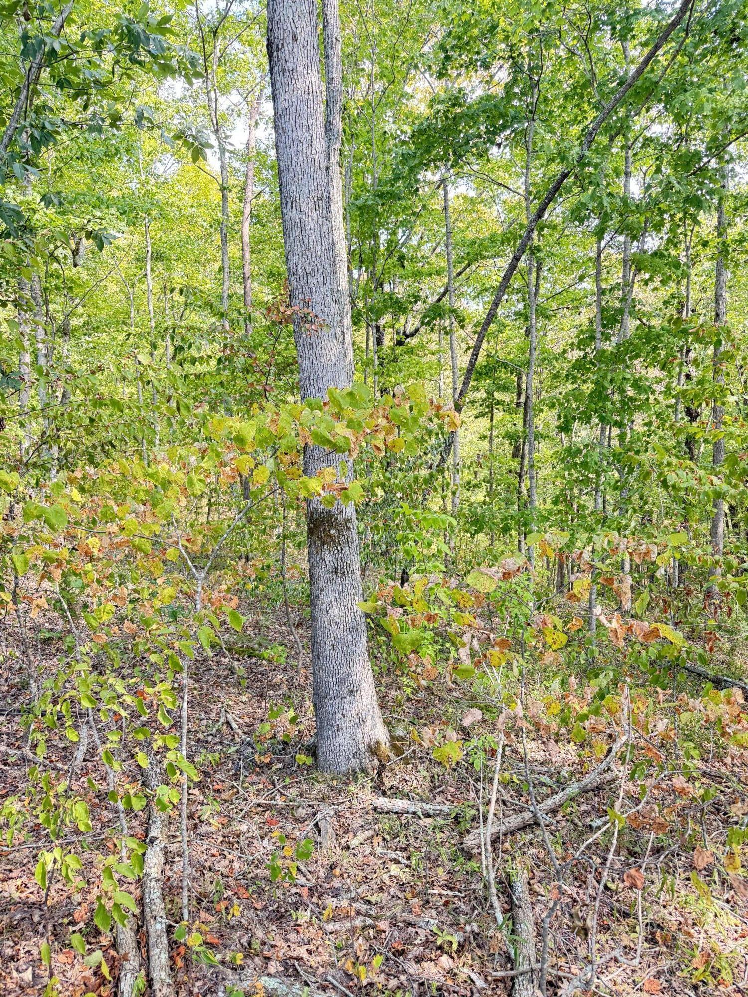 Lot 95 Sandstone Point Property Photo 11