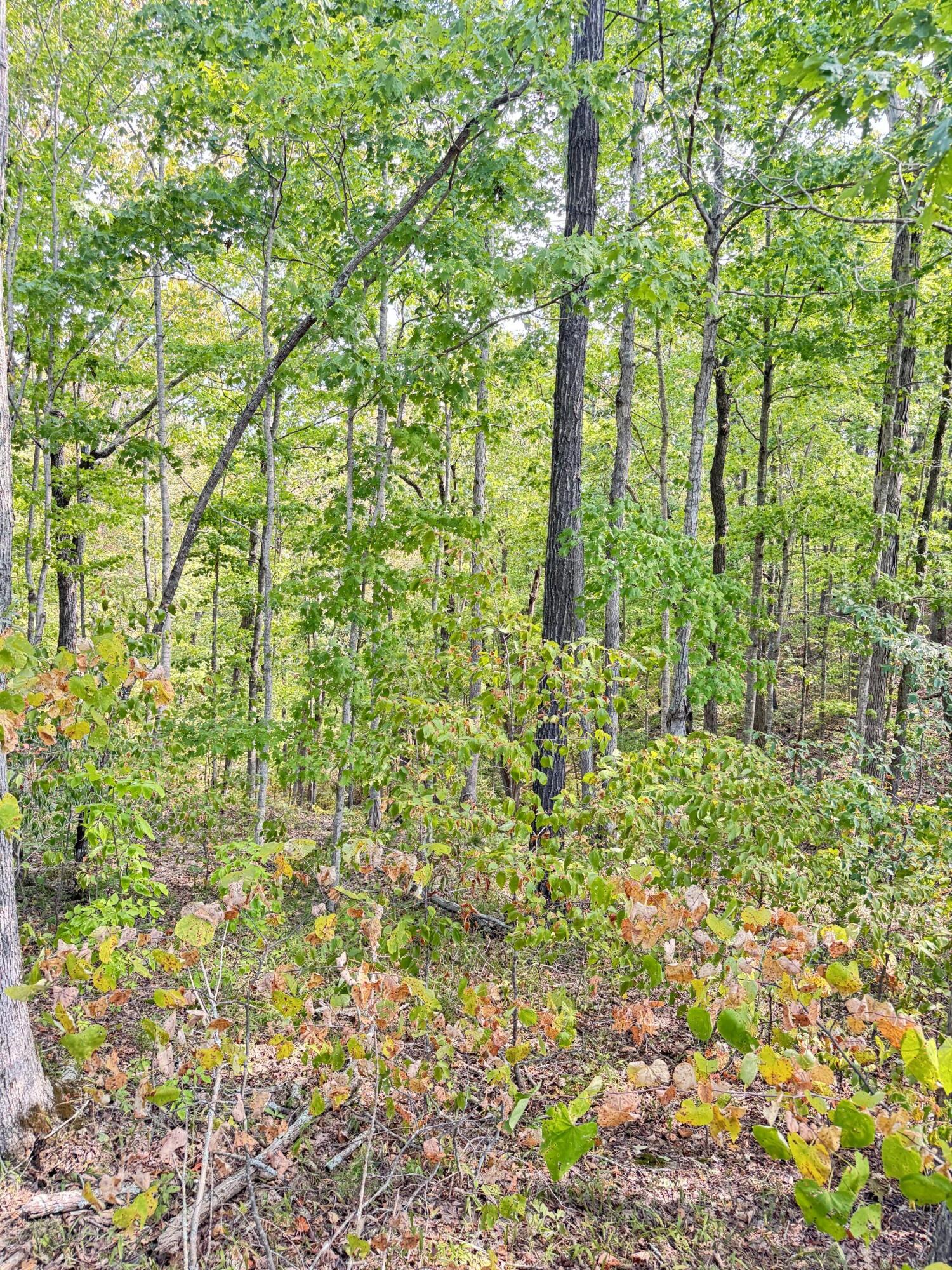 Lot 95 Sandstone Point Property Photo 12
