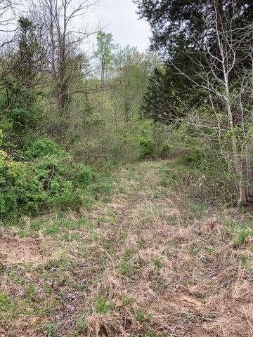 0 Daren Drive Property Photo 16