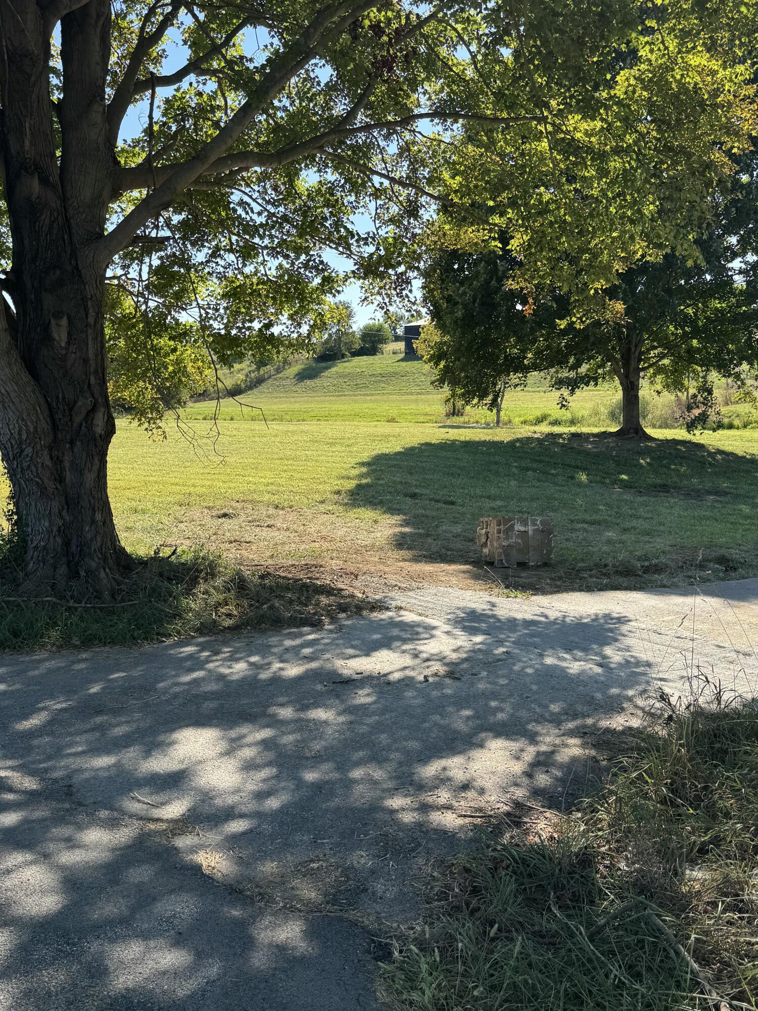322 Locust Fork Road Property Photo 1