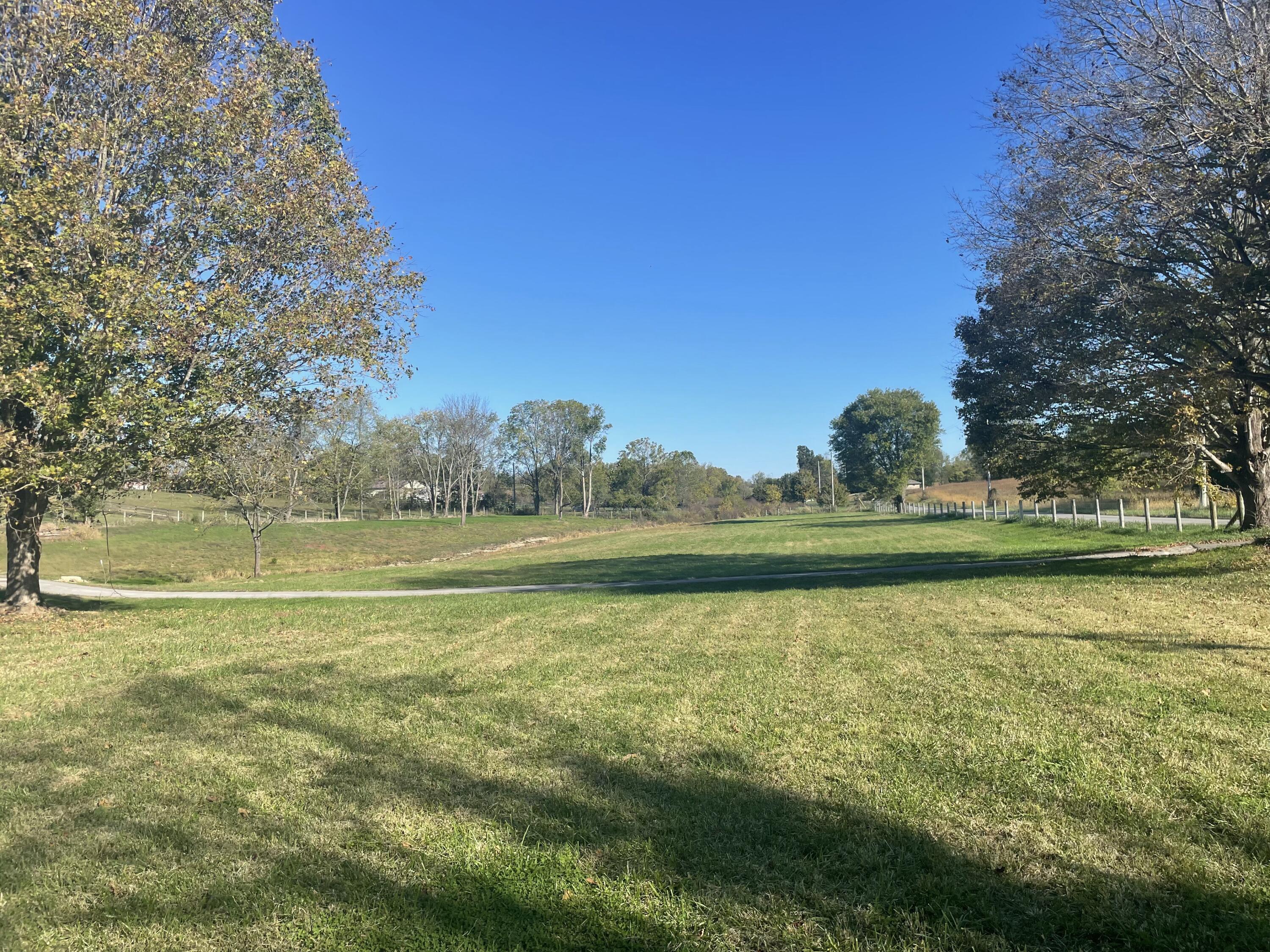 322 Locust Fork Road Property Photo 5