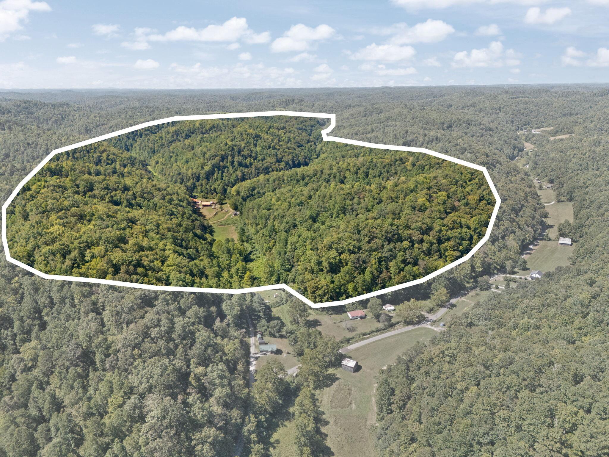 270 Left Fork Holly Road Property Photo 2