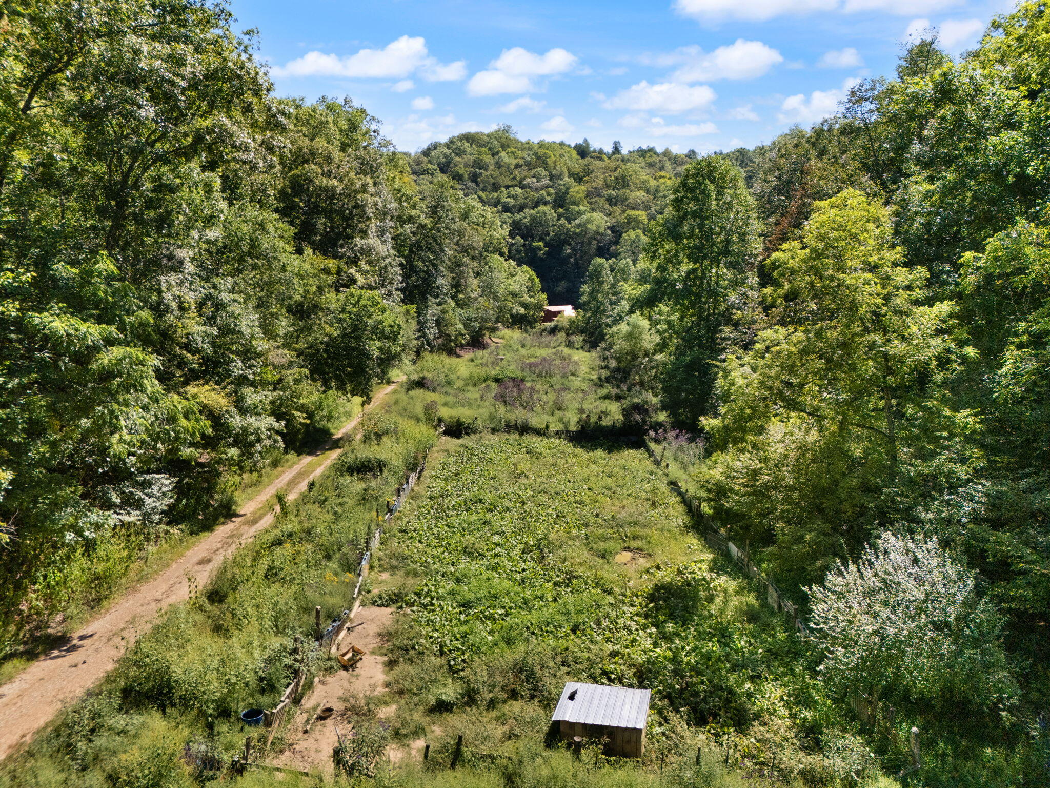 270 Left Fork Holly Road Property Photo 34