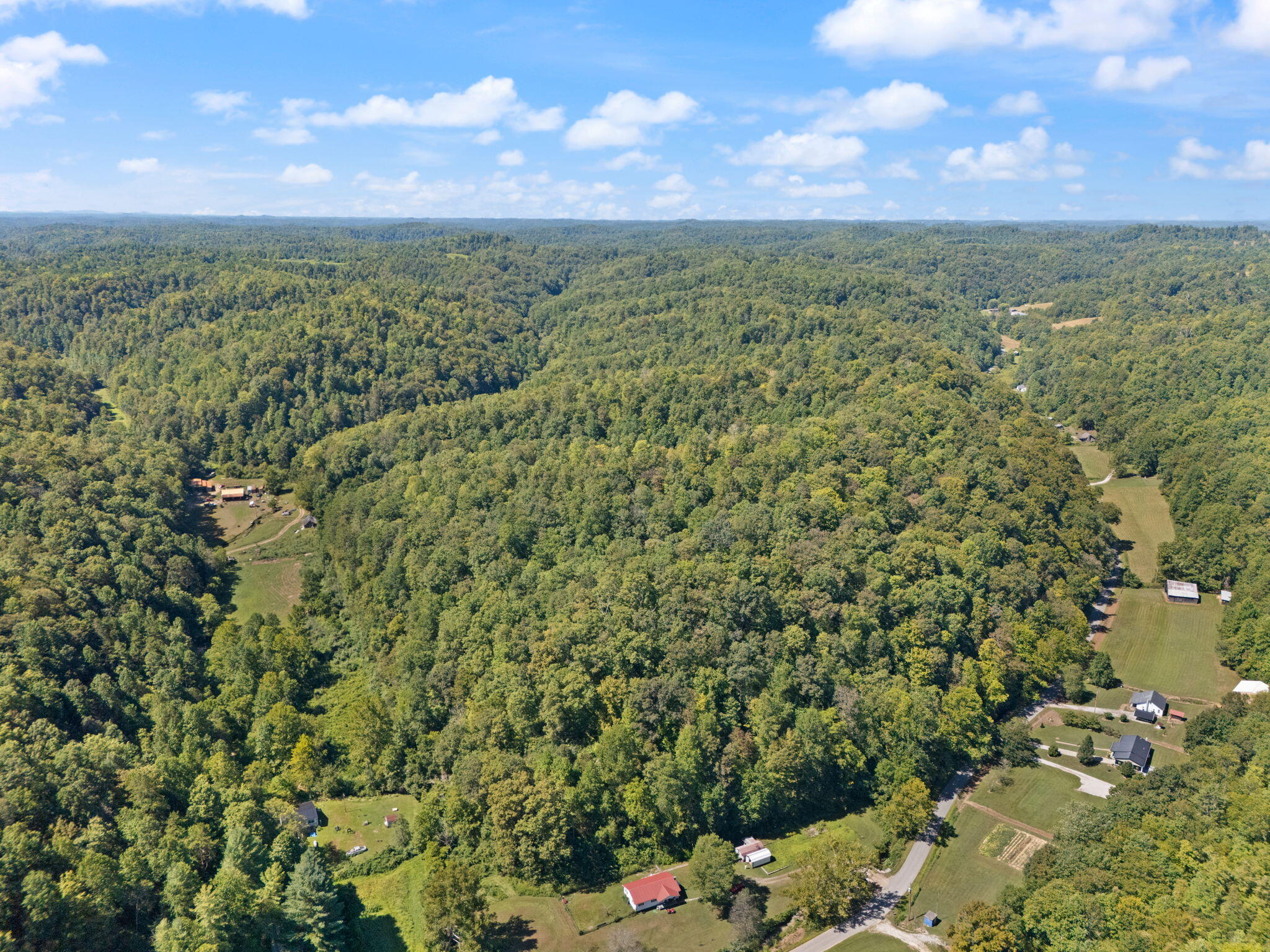 270 Left Fork Holly Road Property Photo 46