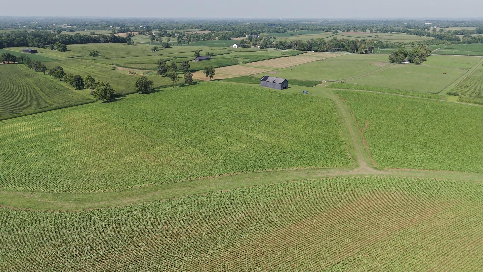 1700 Shannon Run Road Property Photo 4