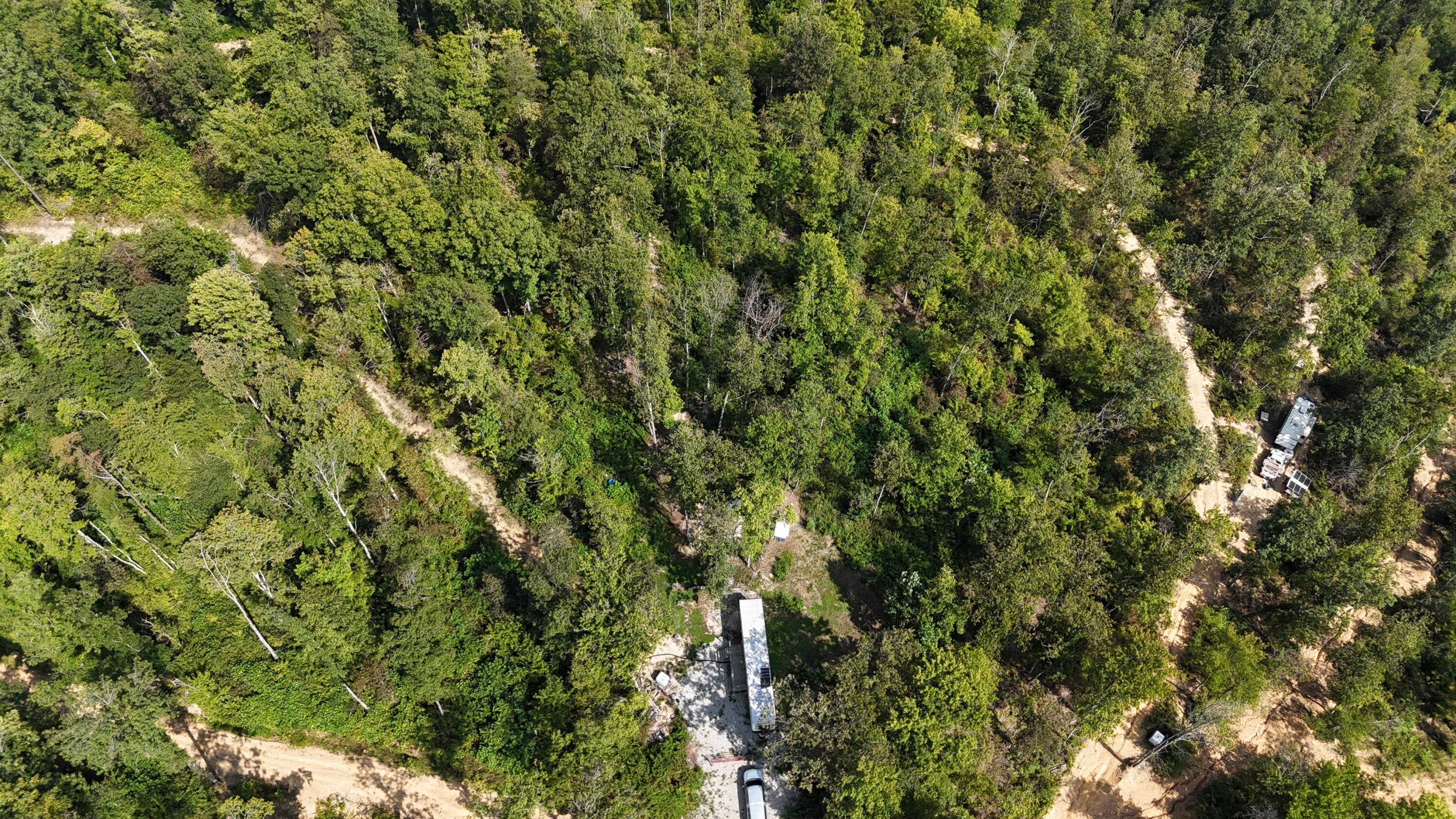 517 Timber Branch Road Property Photo 10