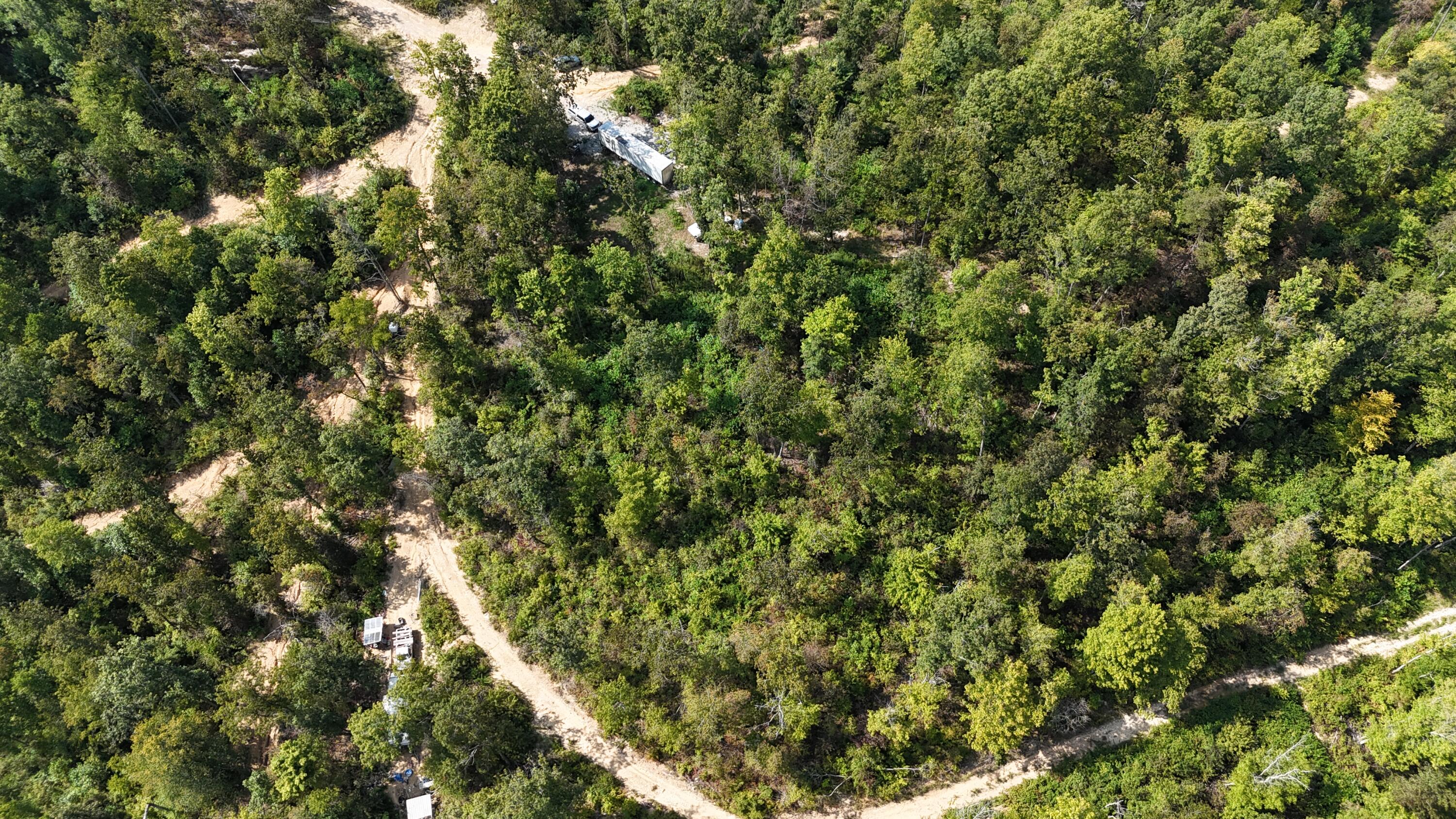 517 Timber Branch Road Property Photo 11
