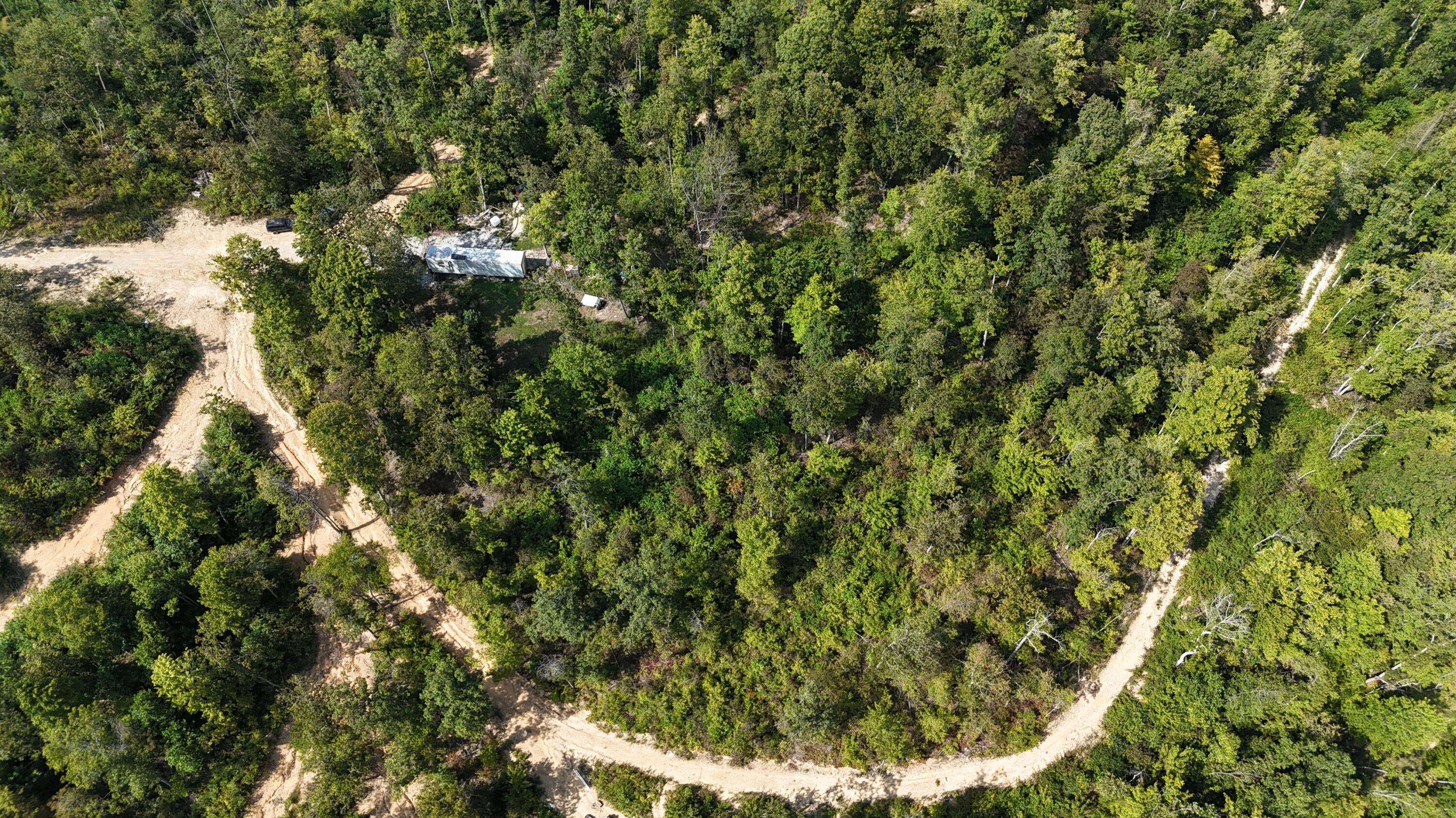 517 Timber Branch Road Property Photo 12