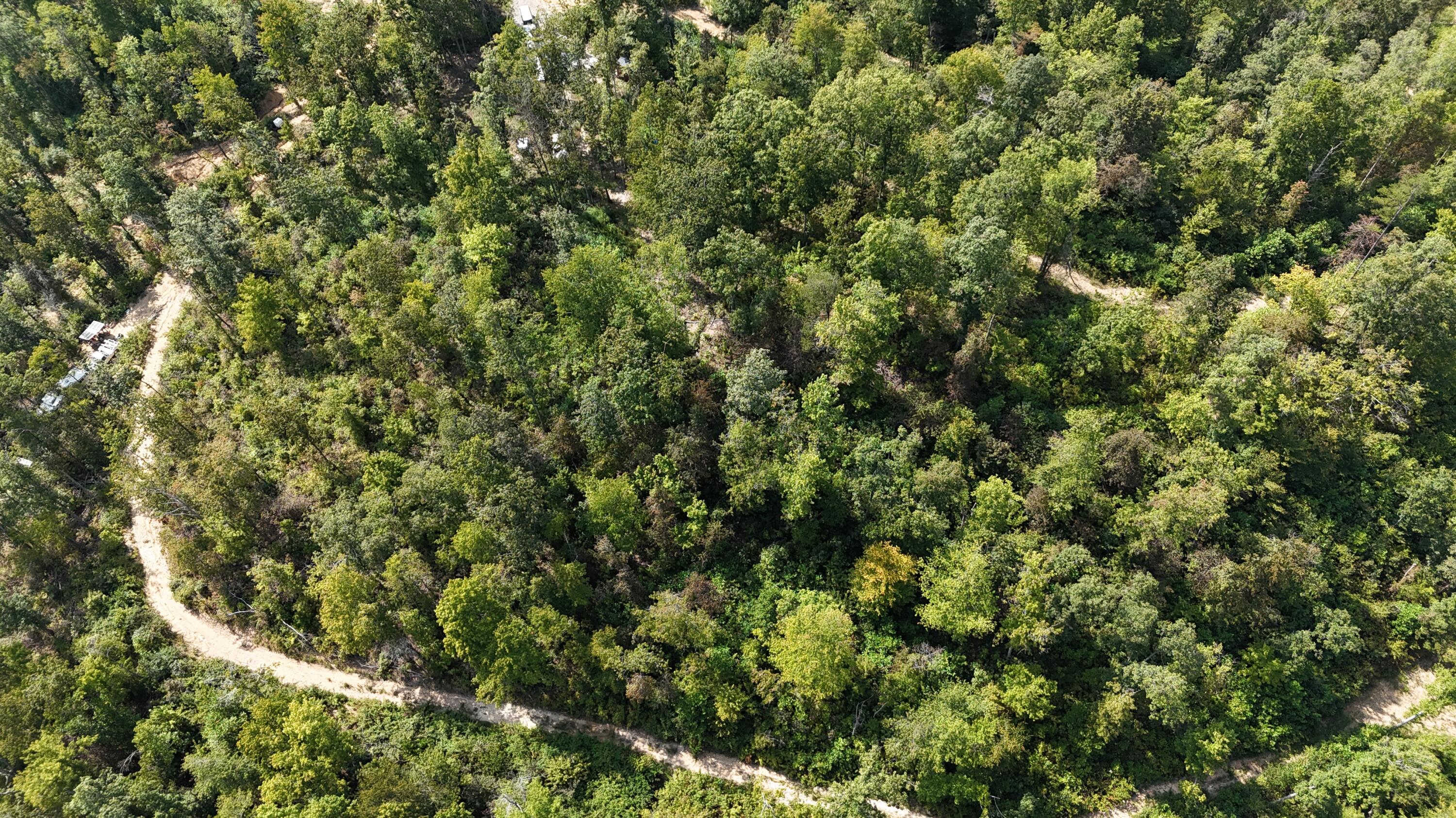 517 Timber Branch Road Property Photo 13