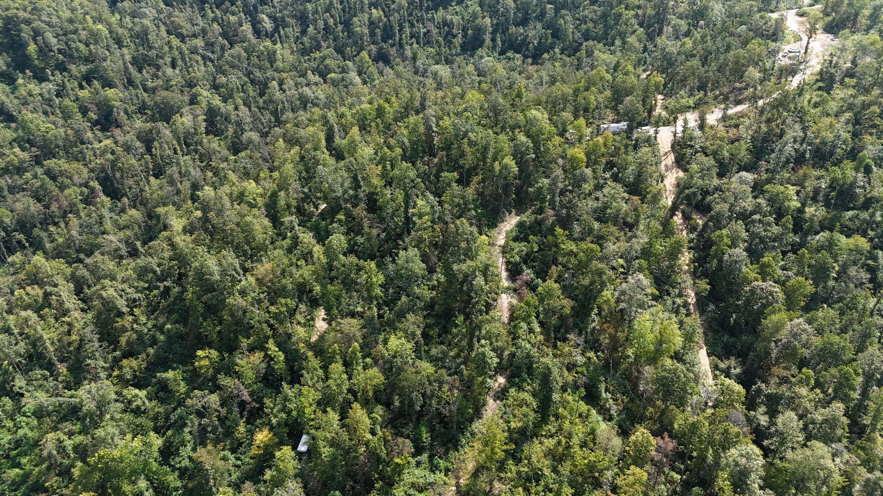 517 Timber Branch Road Property Photo 16