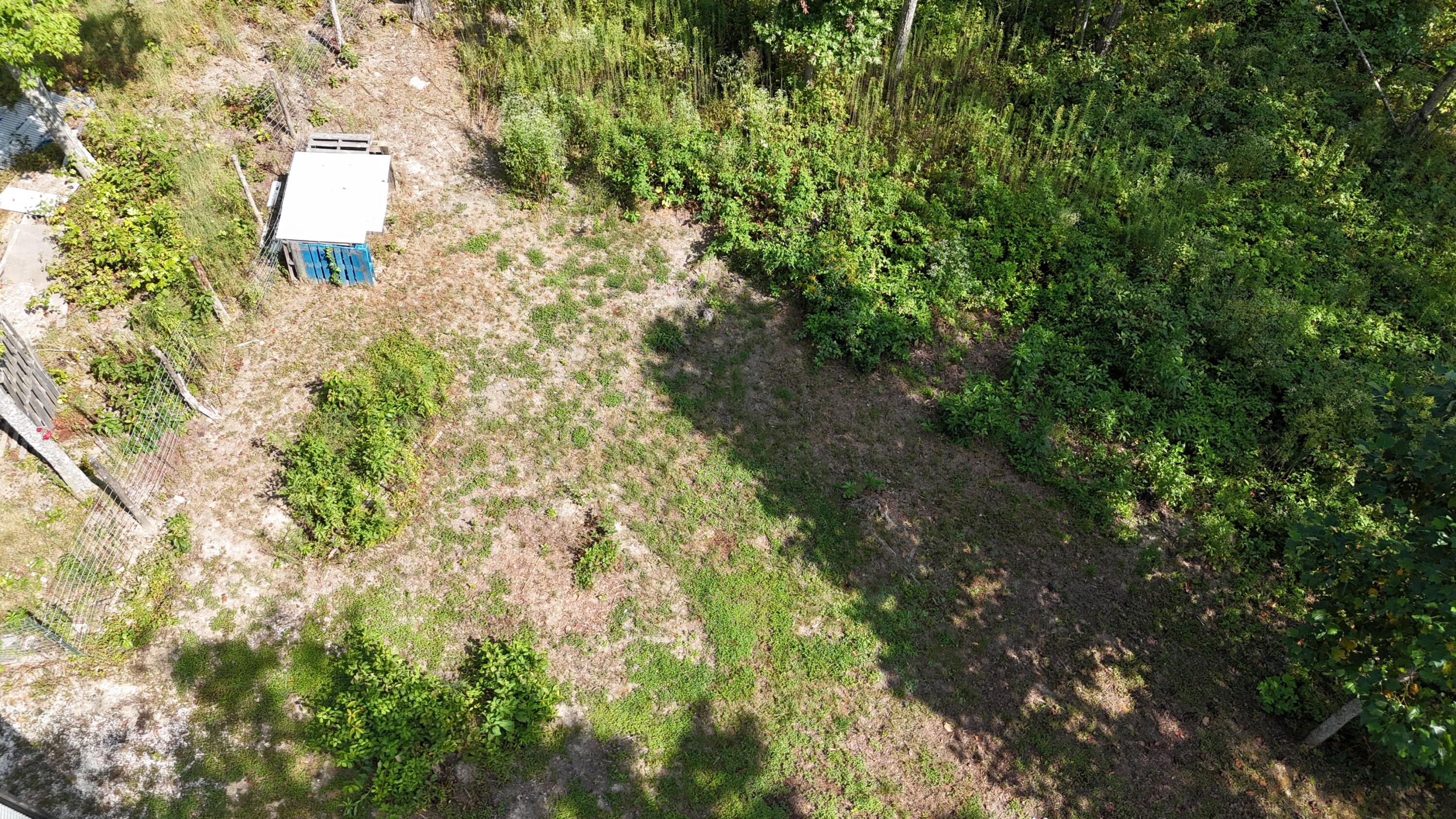 517 Timber Branch Road Property Photo 22