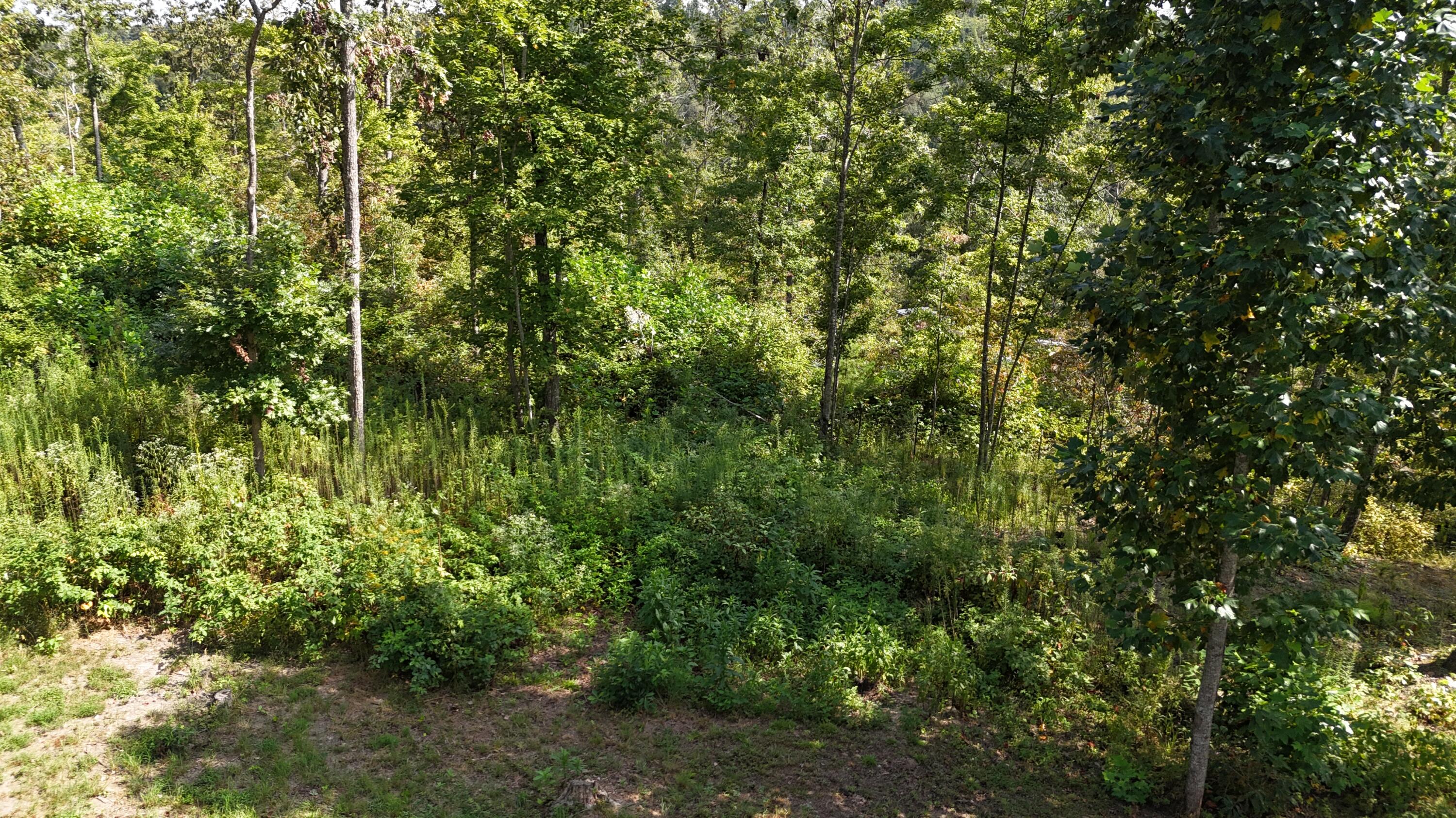 517 Timber Branch Road Property Photo 23